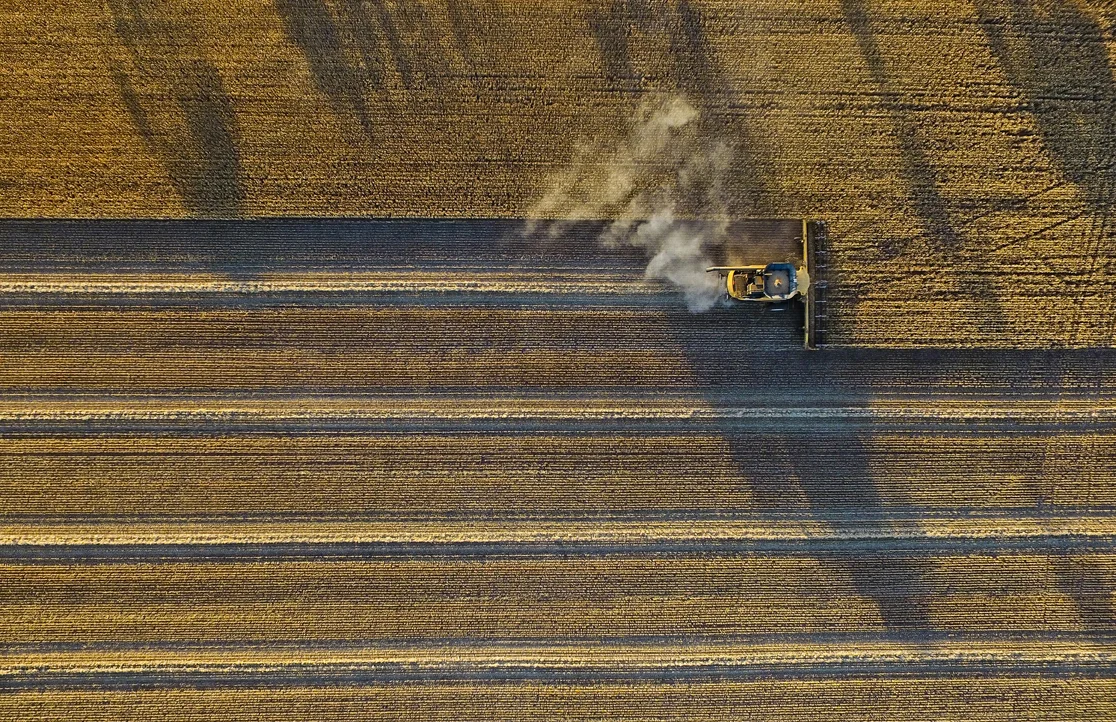 Wheat Harvest.jpg