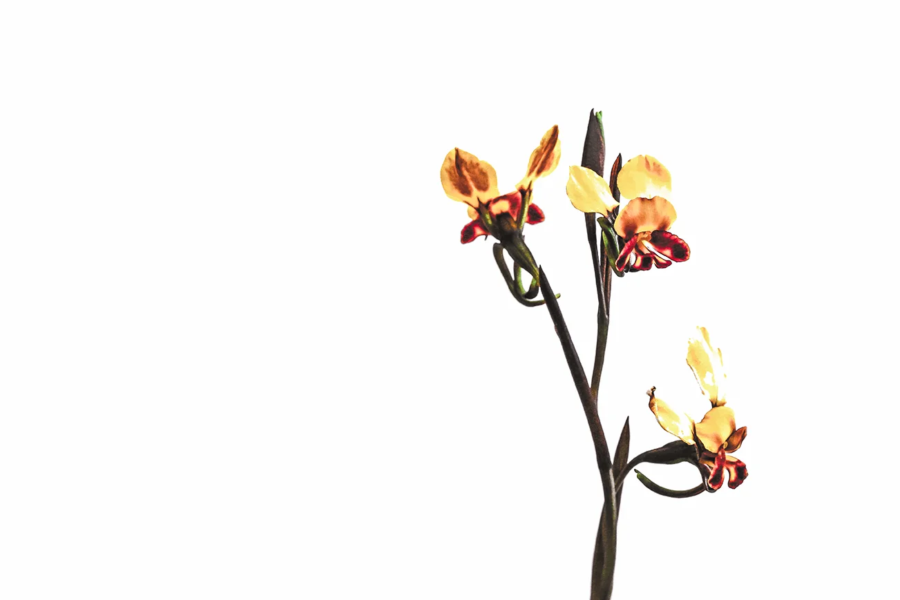 27.jpg small size.jpg