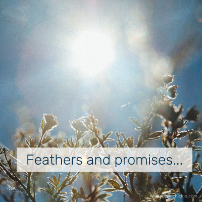 feathers and promises blog.png