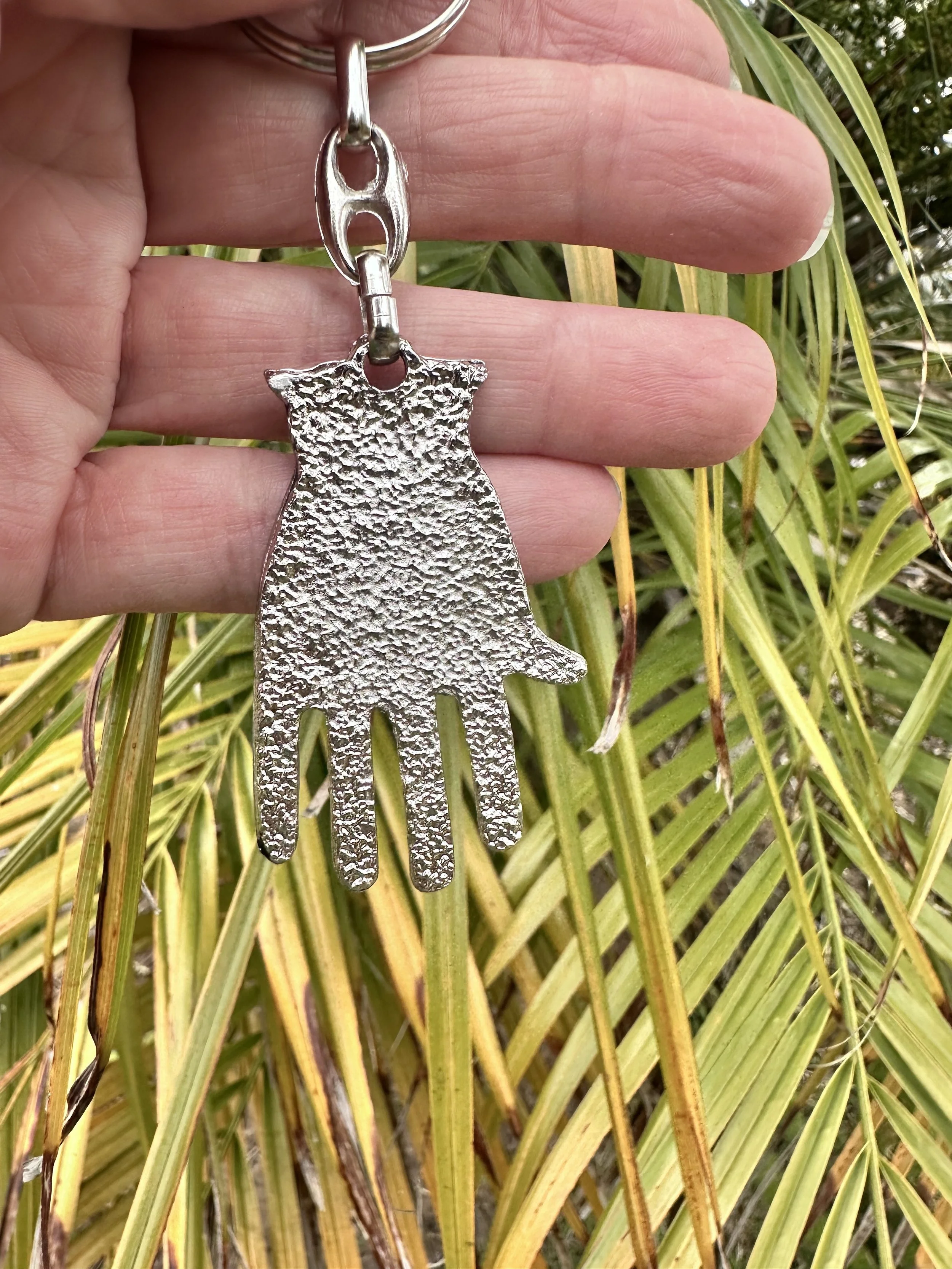 evileyekhomsaback.jpg