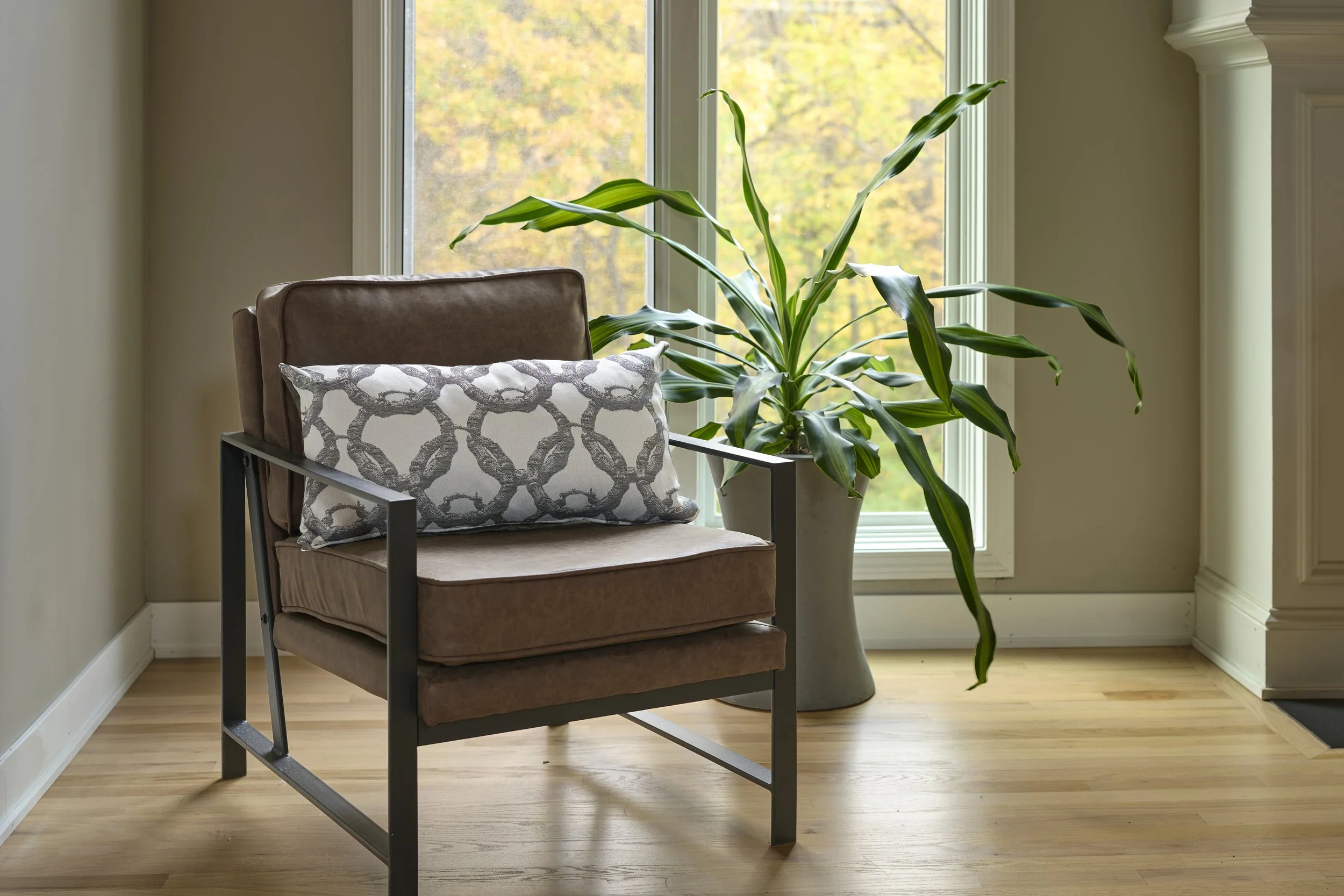 COMPLEX_FLAVORS_30425.jpg (Copy)