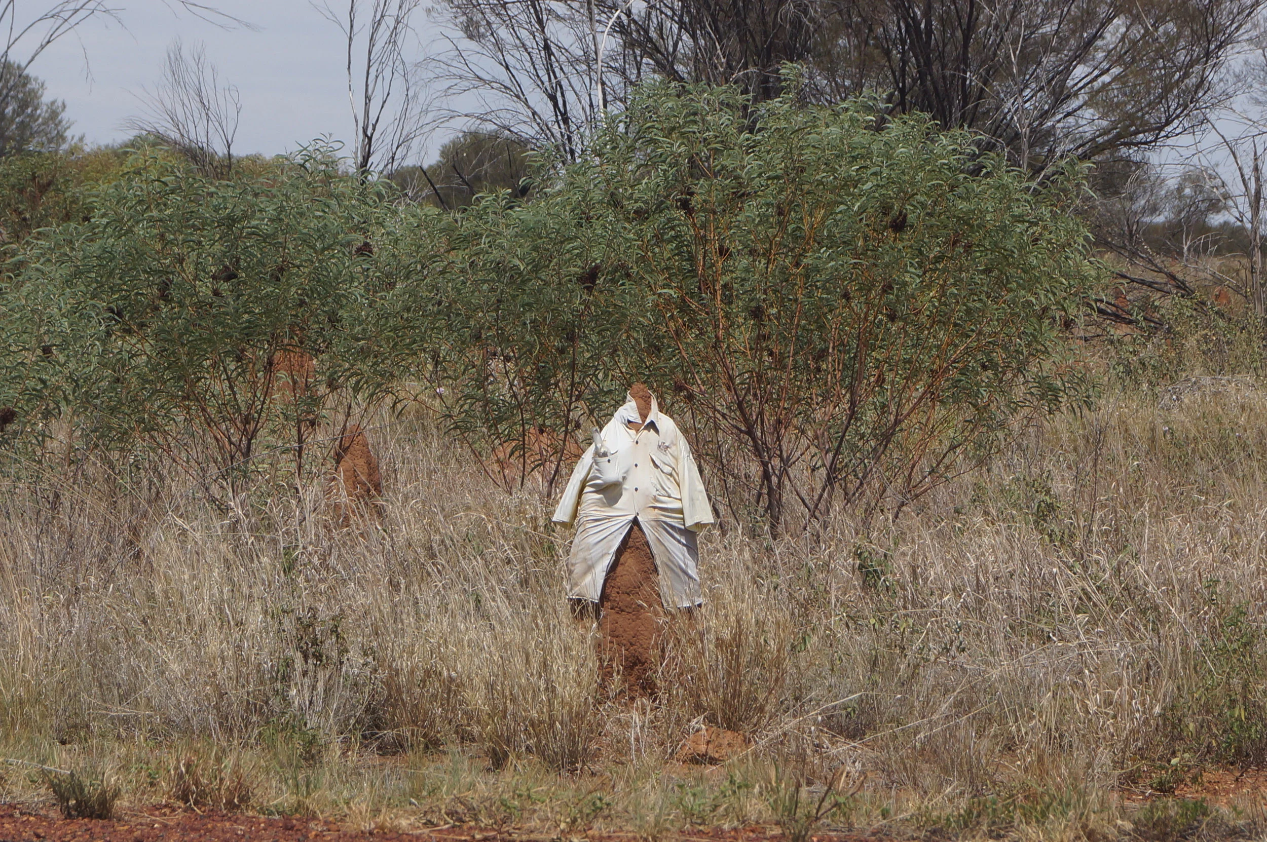 Another roadside distraction