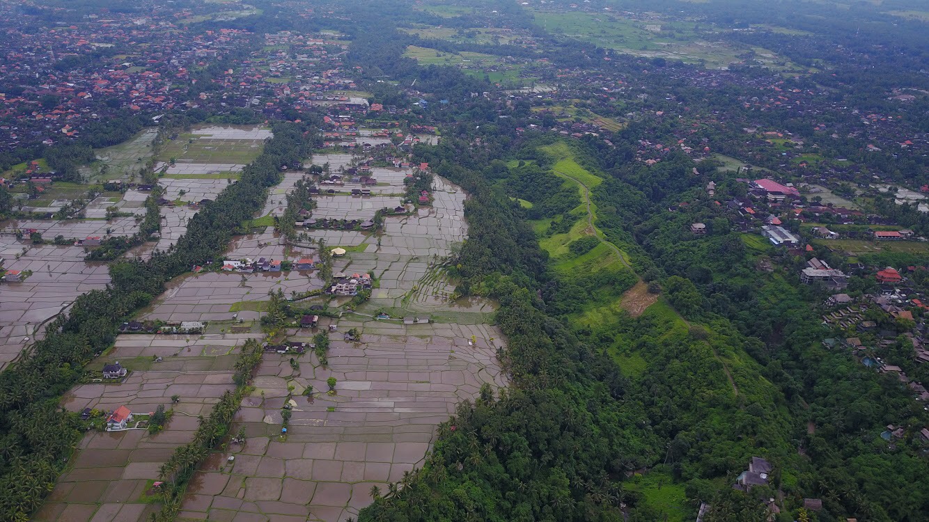 Ubud from the air: home base for a few day's of welcome R & R. 