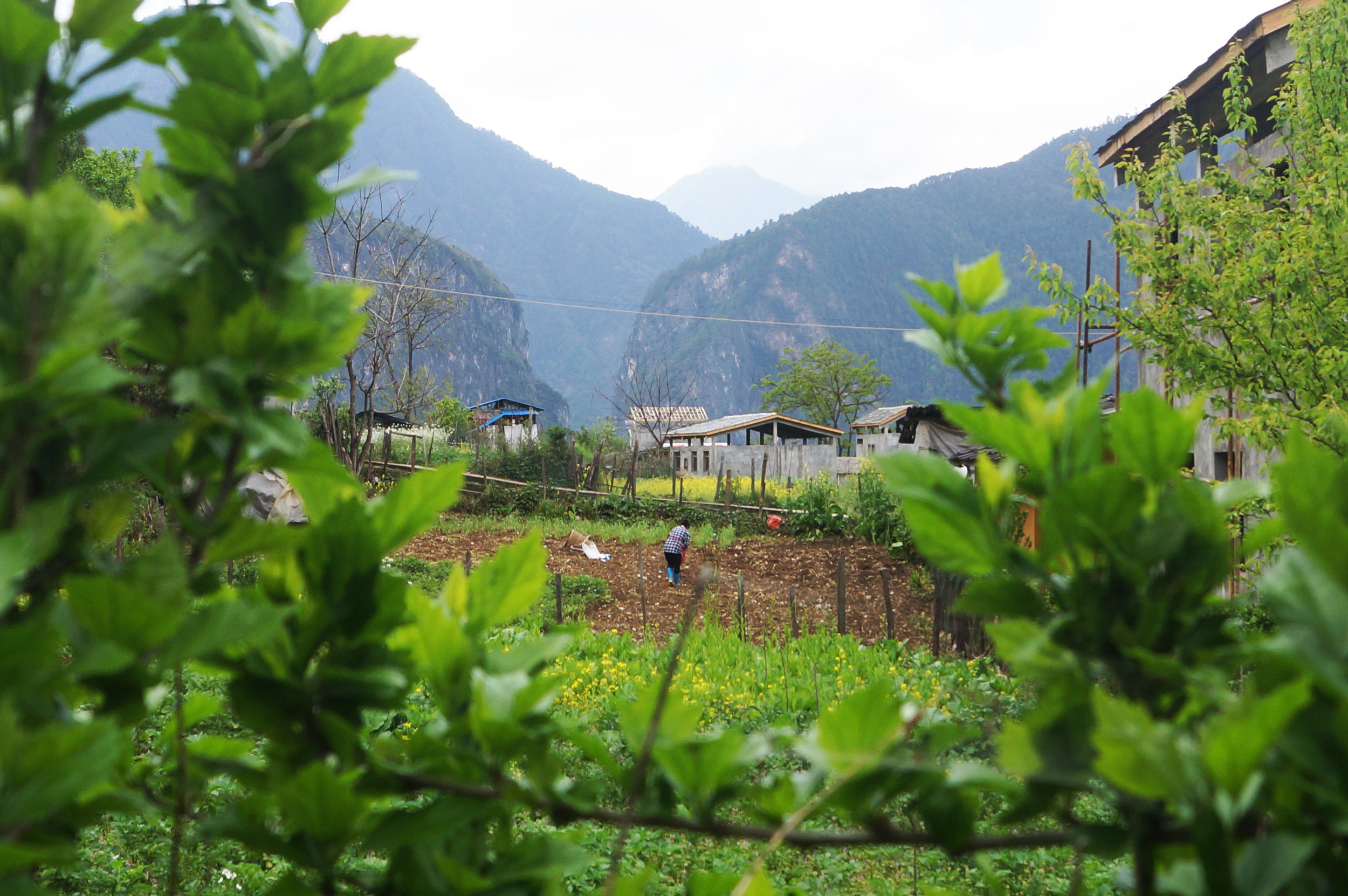Farmland near Bingzhongluo