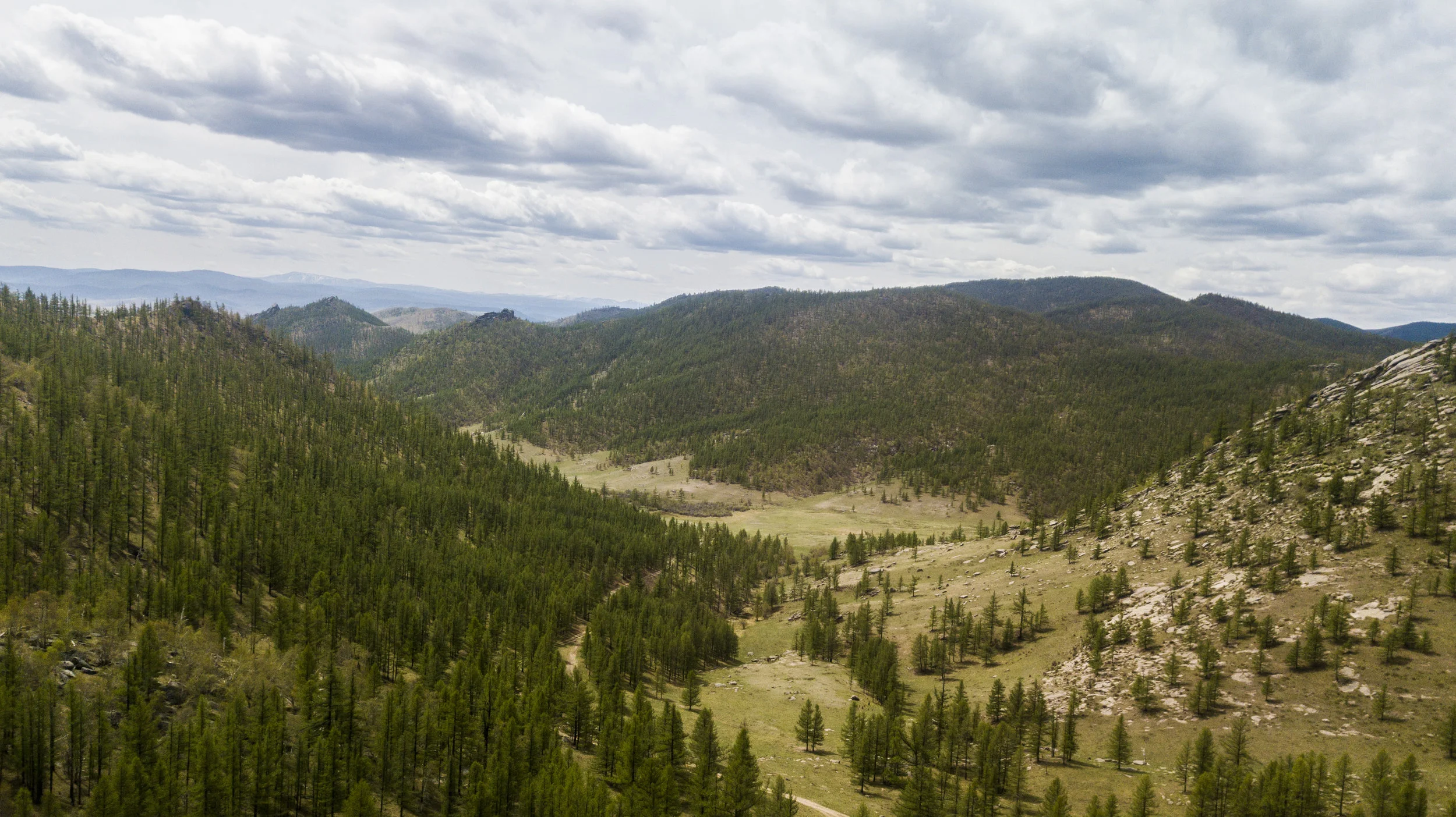 The national park near Tsetserleg is rich in green hills and pine forests. 