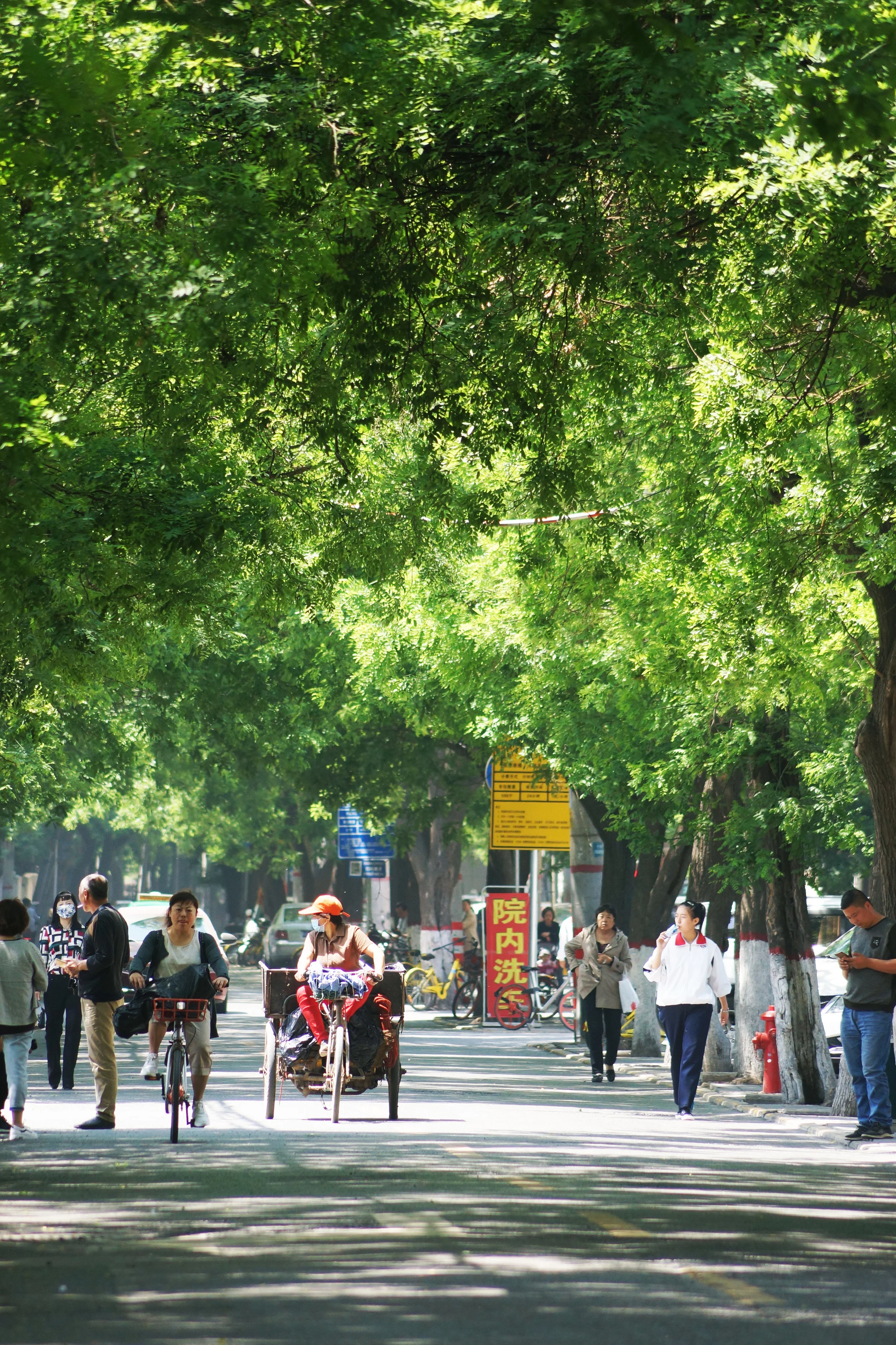 streetscape.jpg