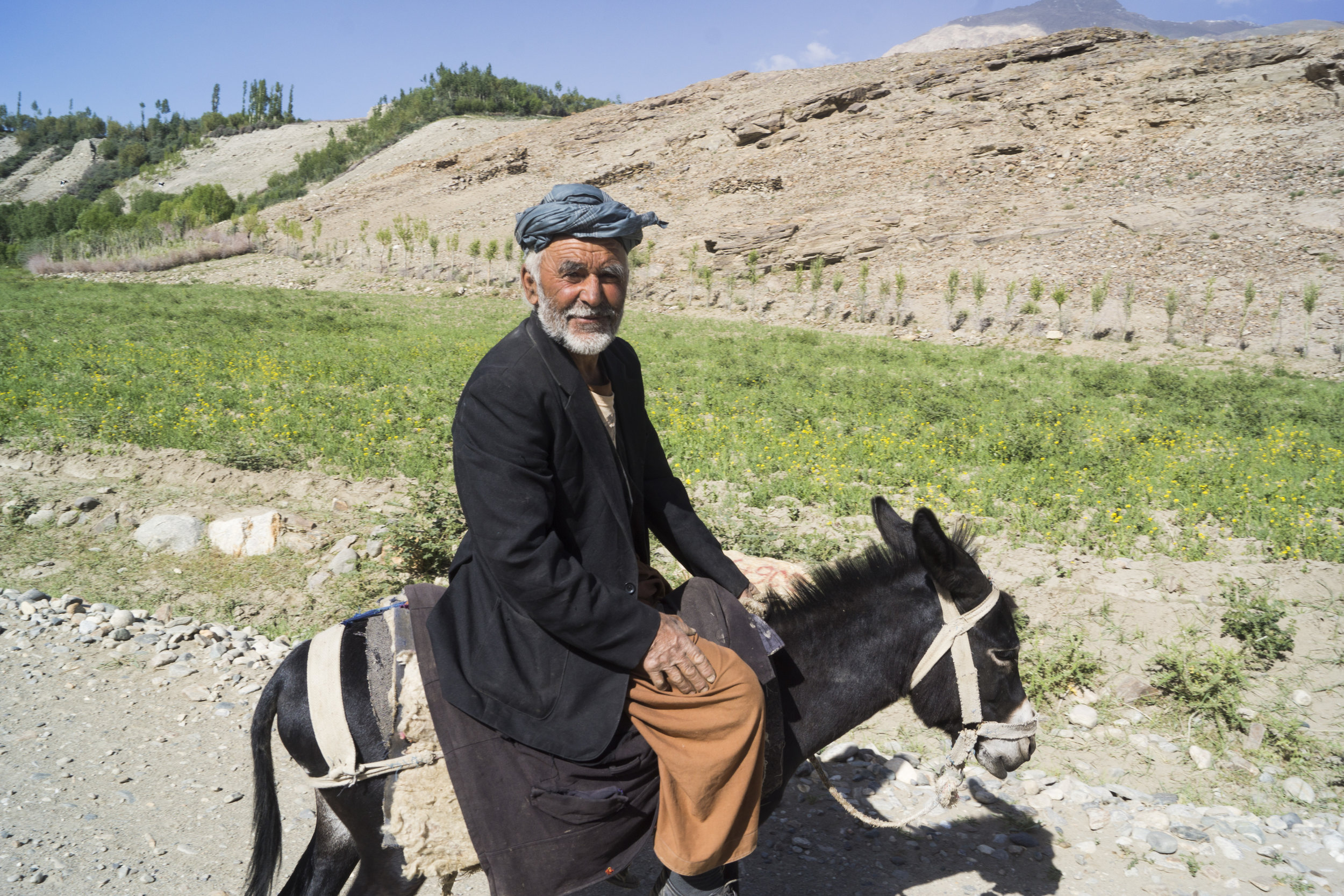 Local Afghan farmer on donkey.