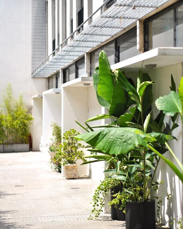 Great shots of our residential condo building #malabia933 in #buenosaires  by @pase_estudio during @openhousebsas 2019  #greenobsession #urbanforestry #architecture #nature