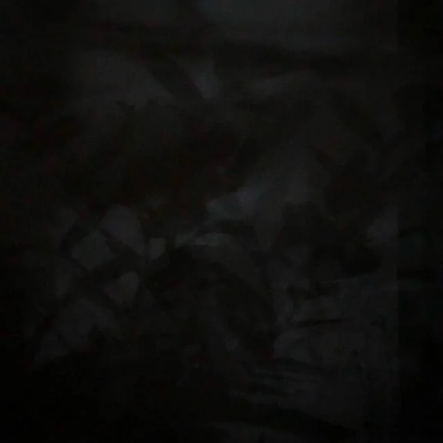 / no shadows without light