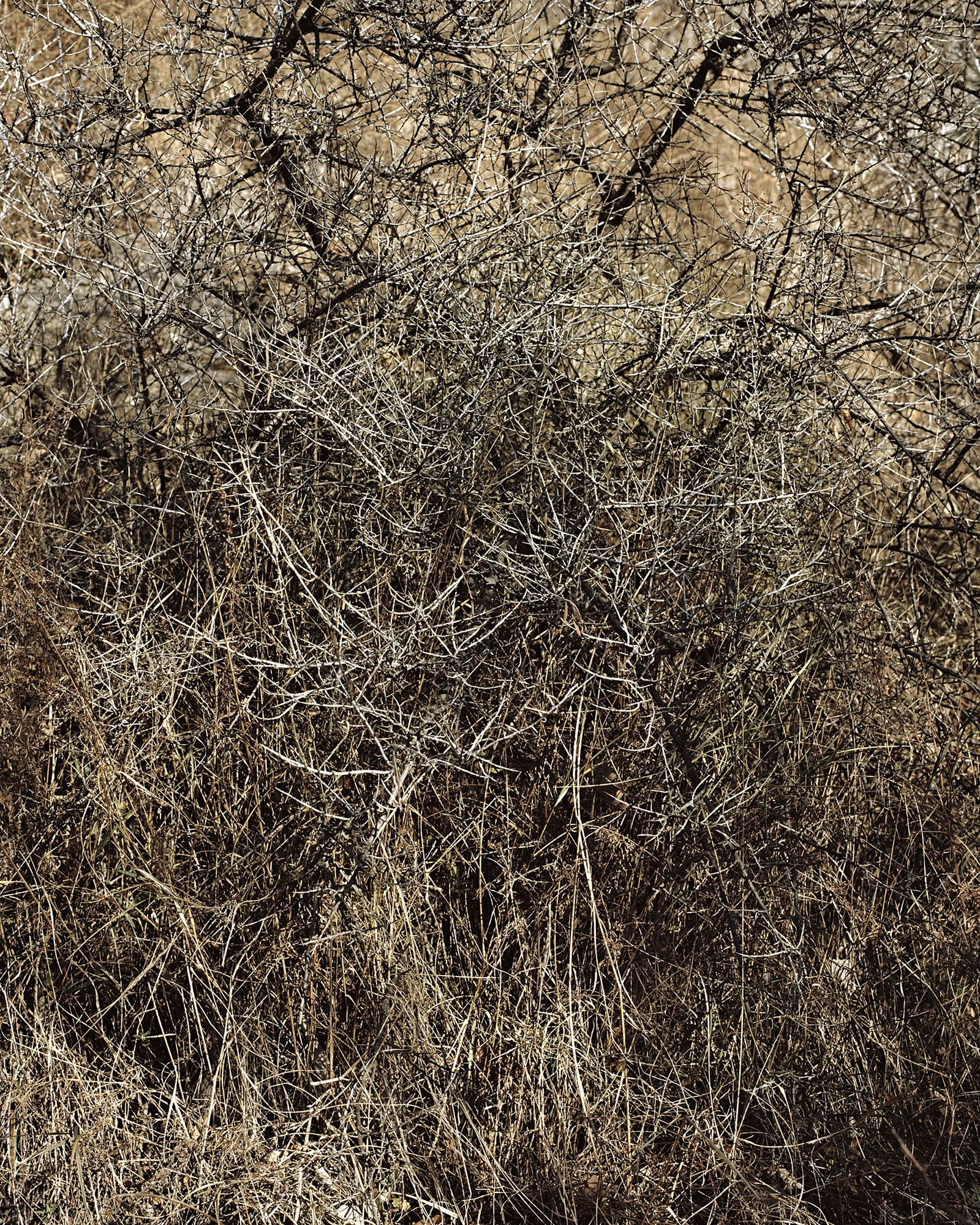 © Philippe Fragnière, 2019