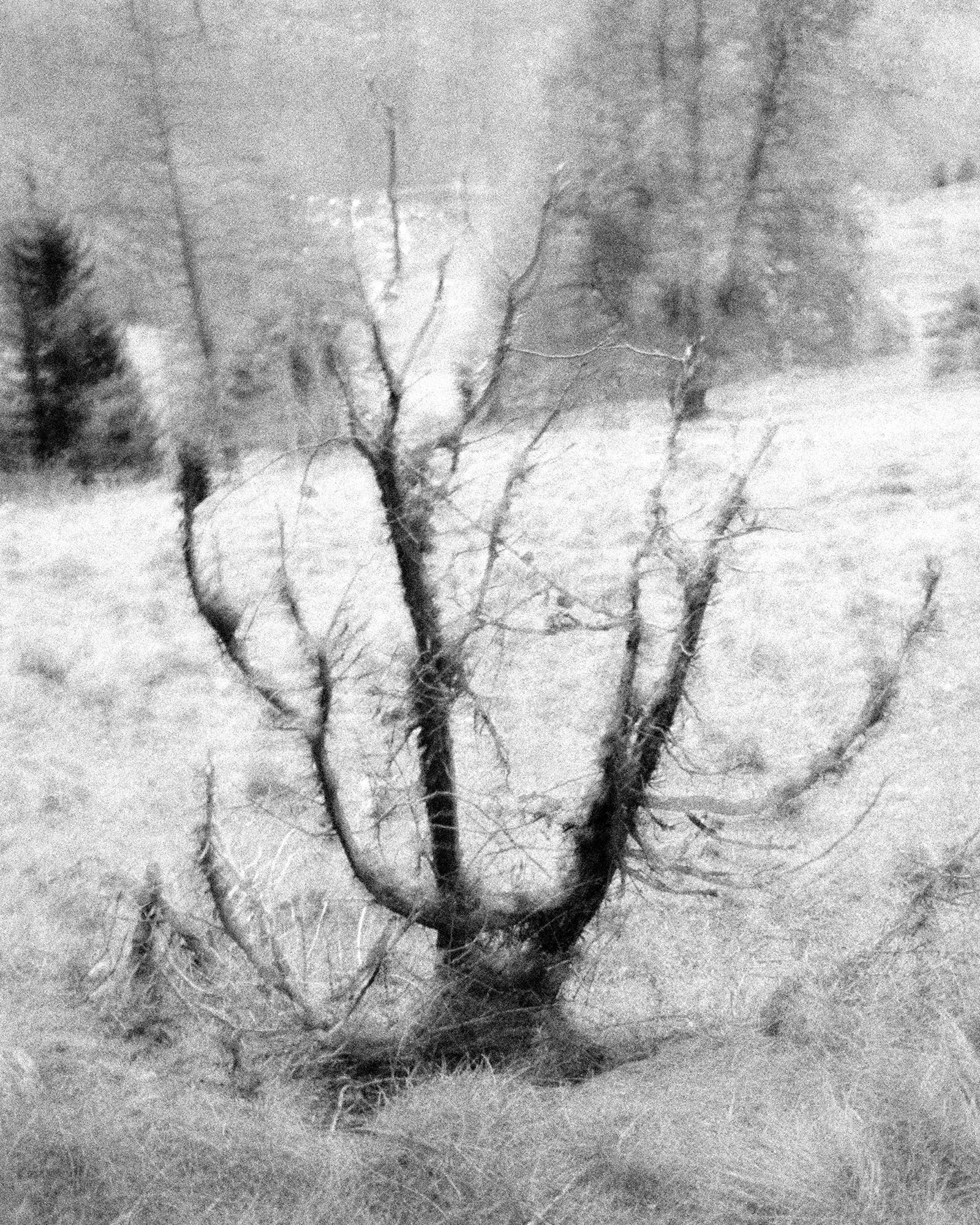 © Philippe Fragnière, 2019