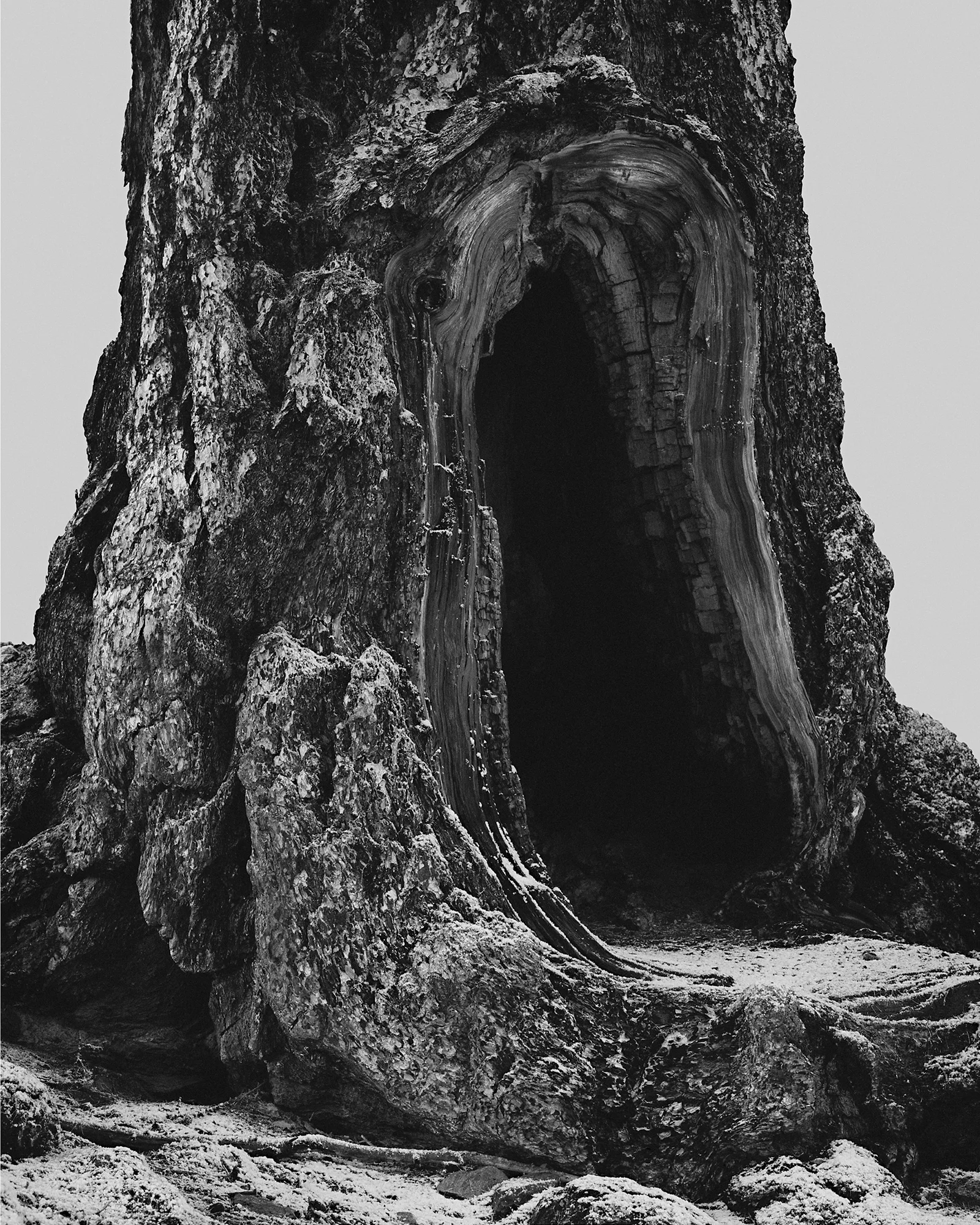 © Philippe Fragnière, 2019