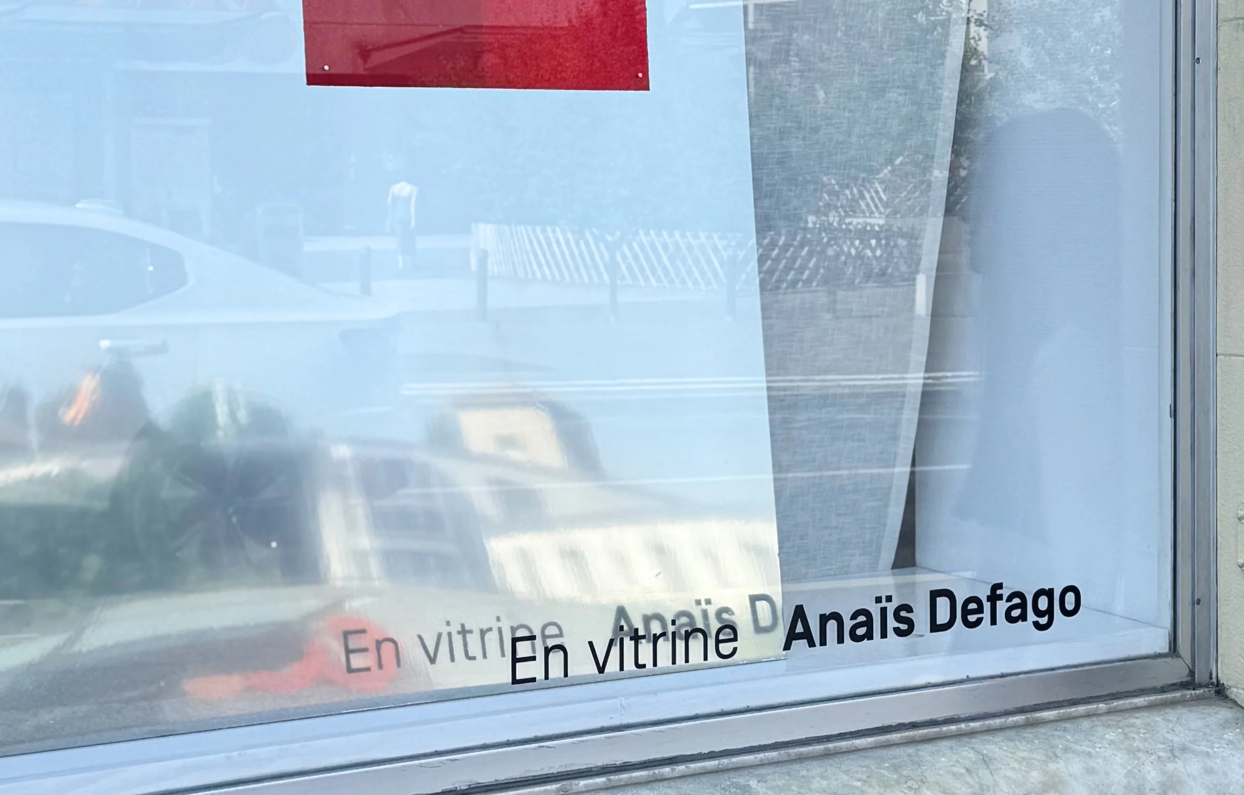 Anaïs Defago | Artiste