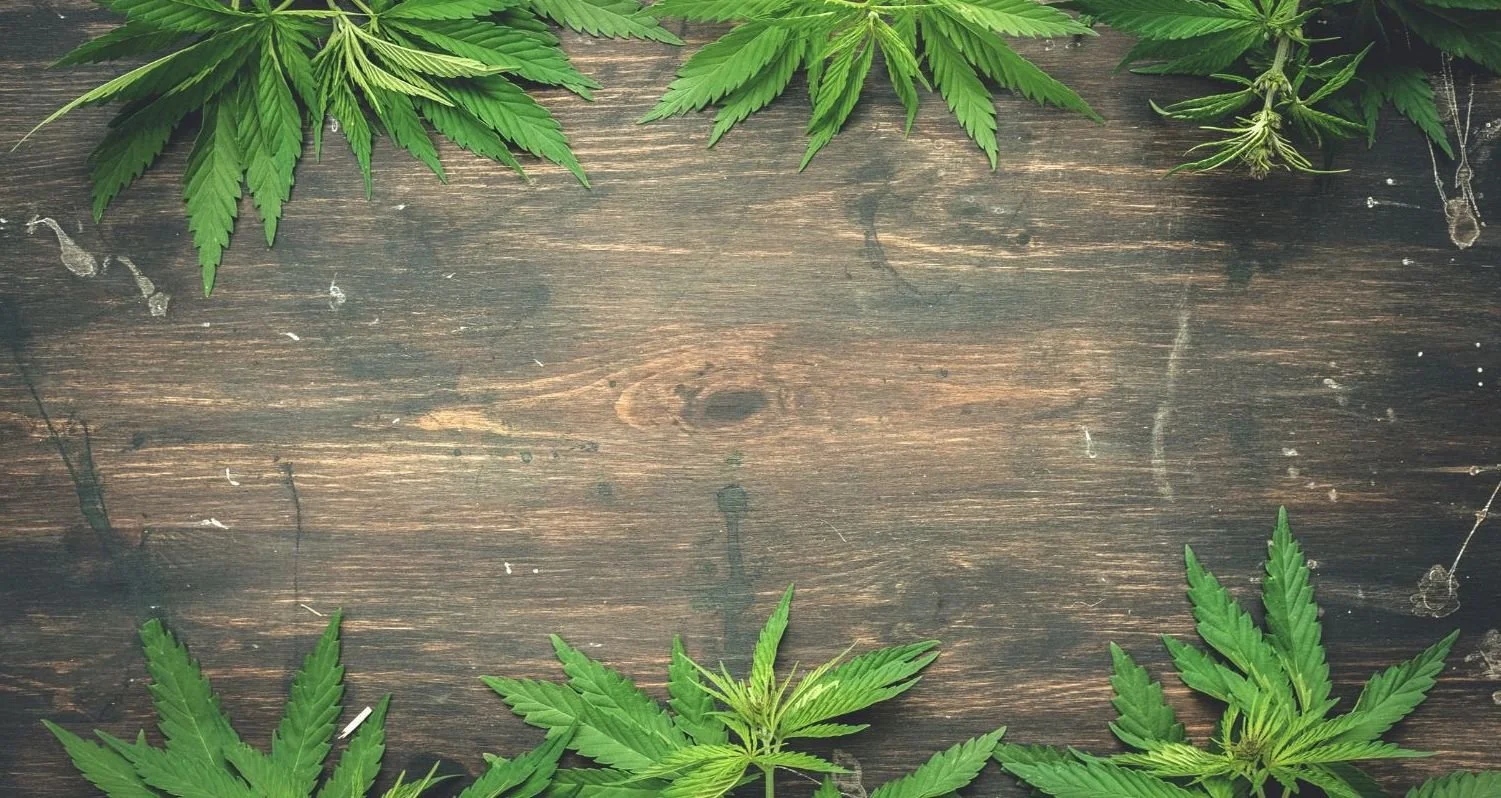 Cannabis On Cape Cod Products Resources Events Cannabis On Cape Cod Products Resources Events