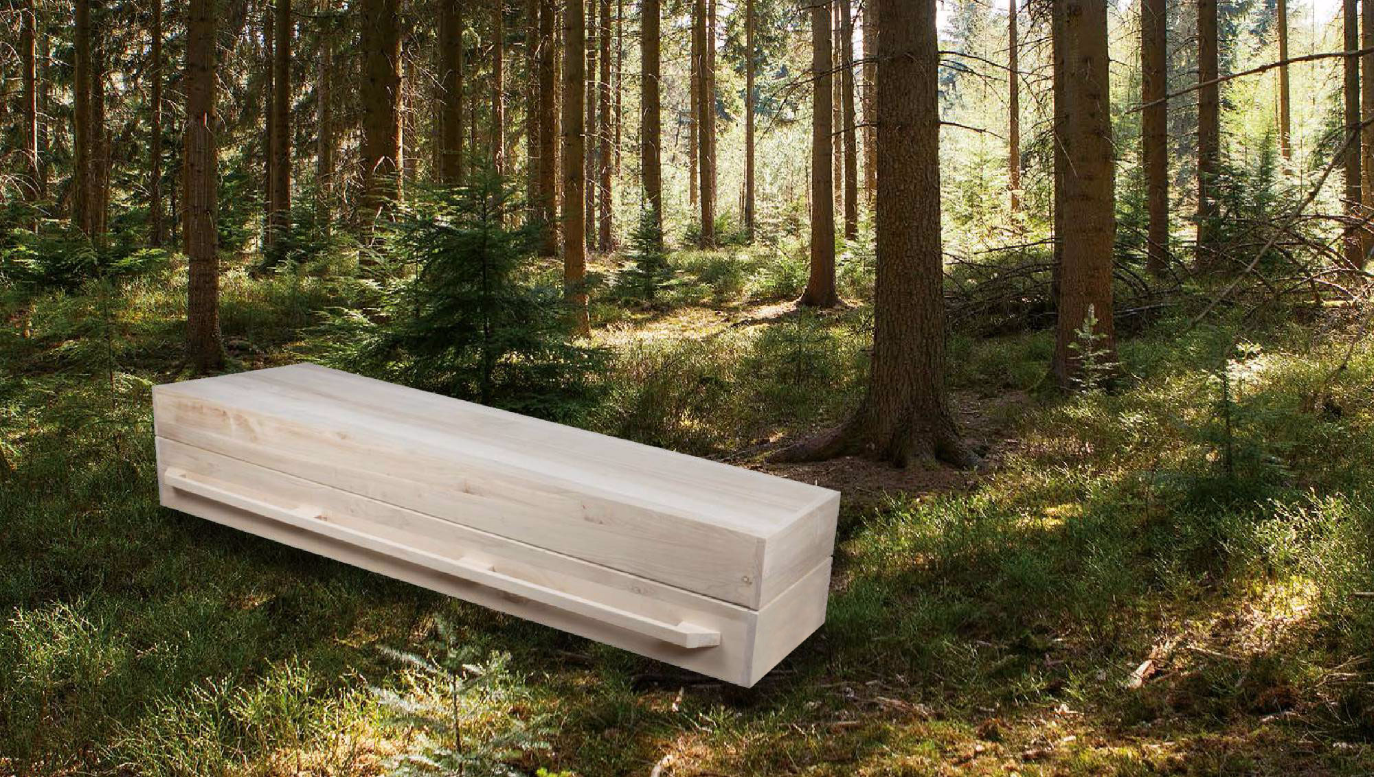 DZU van Hollands Hout ism Staatsbosbeheer