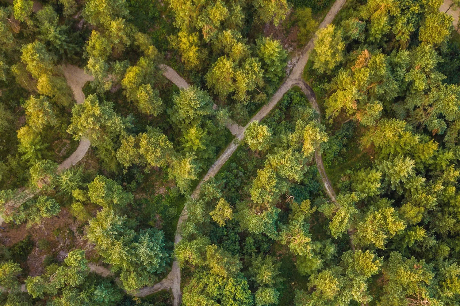 natuurbegraven-nederland-achtergrond.jpg
