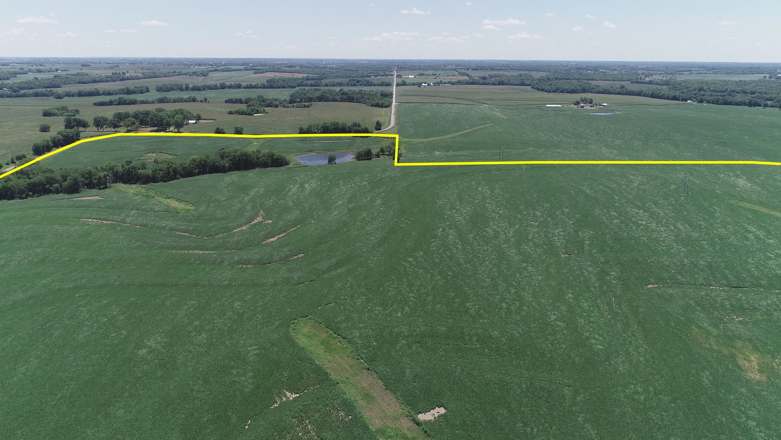 Looking South at Central Tract Planted in Soybeans (July 21, 2018)