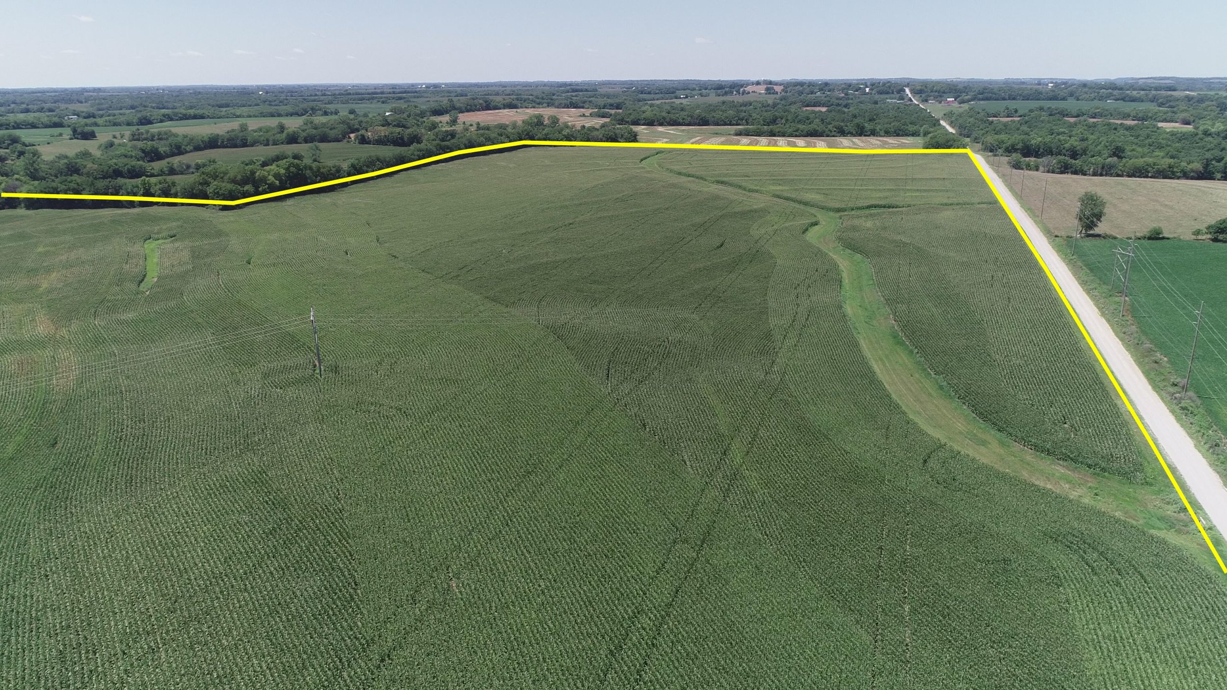 Looking West at West Tract Planted in Corn (July 21, 2018)