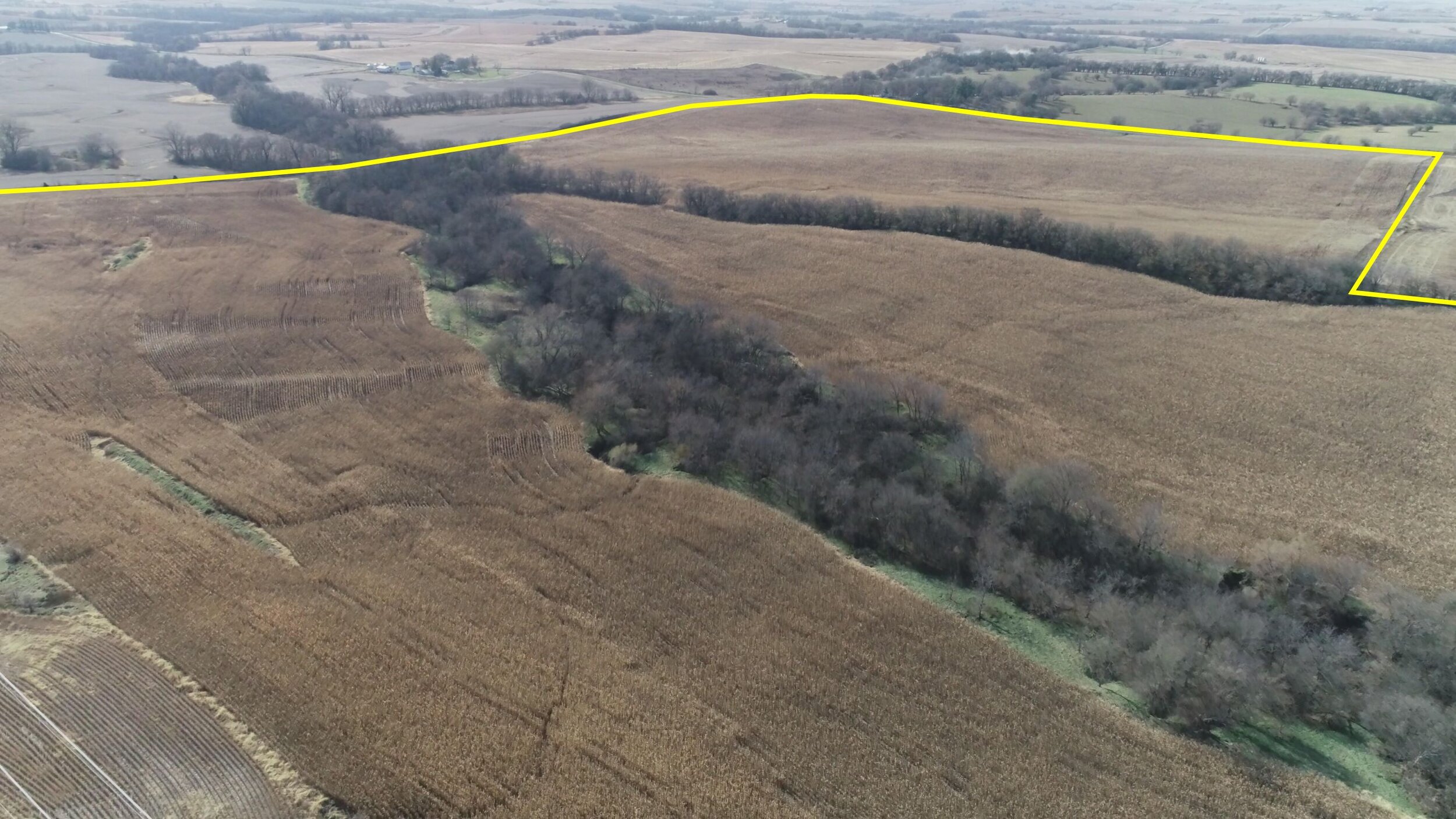 Looking Southwest at West Tract Corn (November 9, 2019)