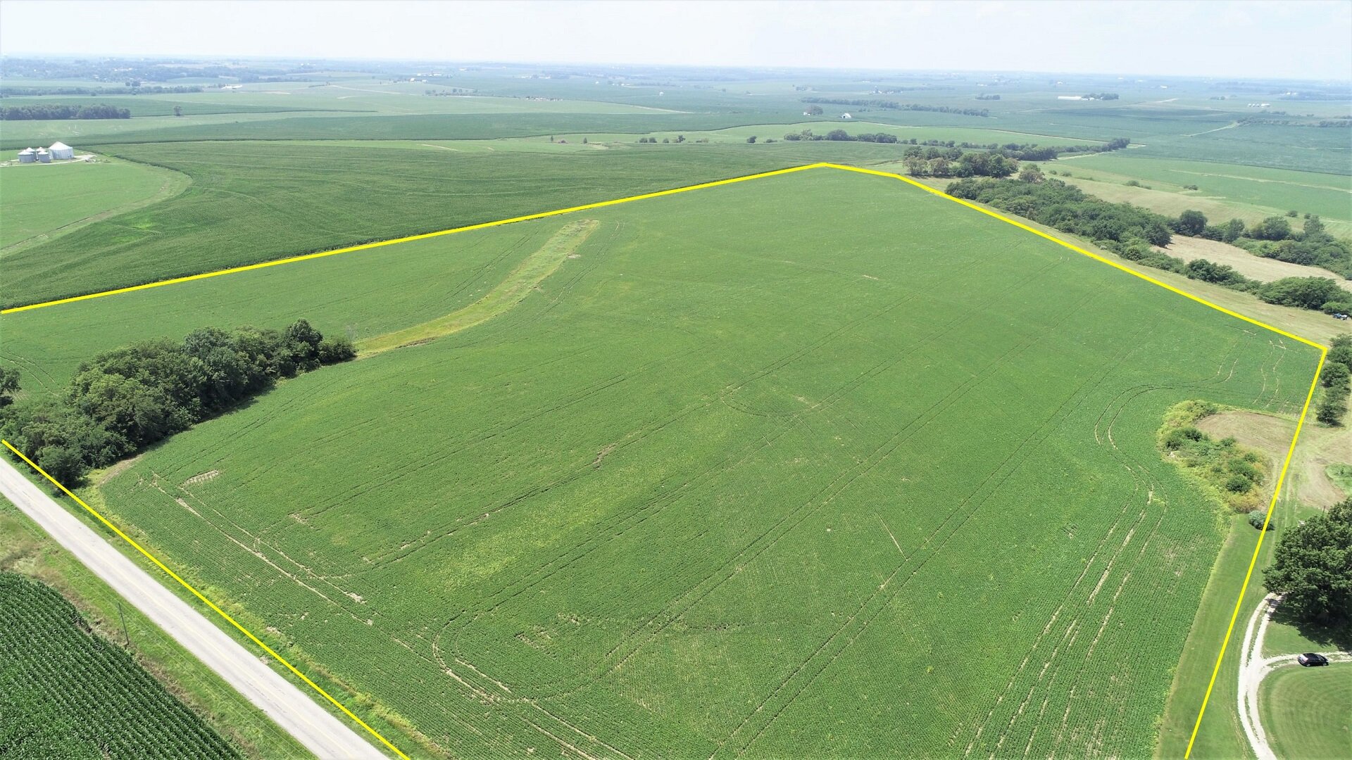 View of Southeast Tract Planted in Soybeans (July 5, 2020)