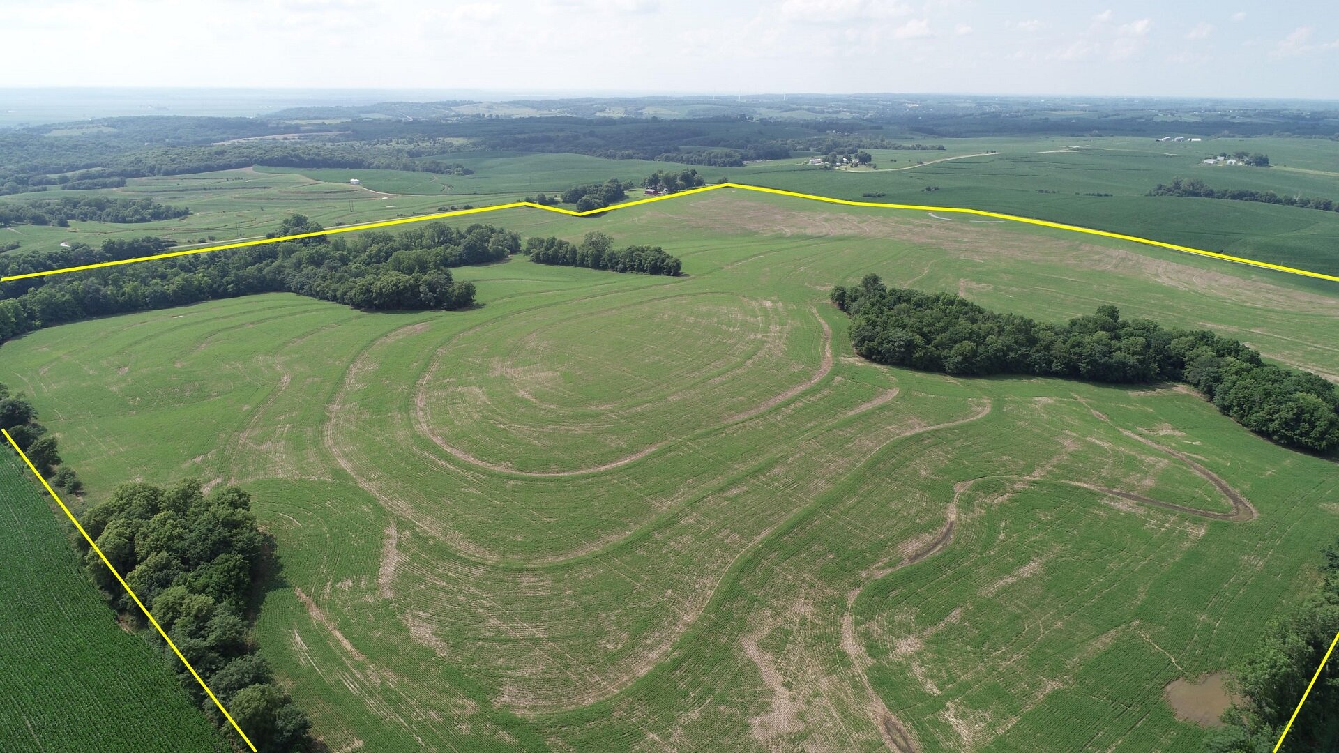 Looking Northwest from Neighboring Farm (July 4, 2020)