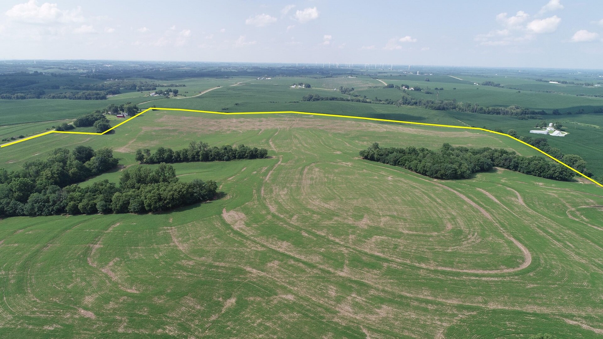 Looking North from Neighboring Farm (July 4, 2020)