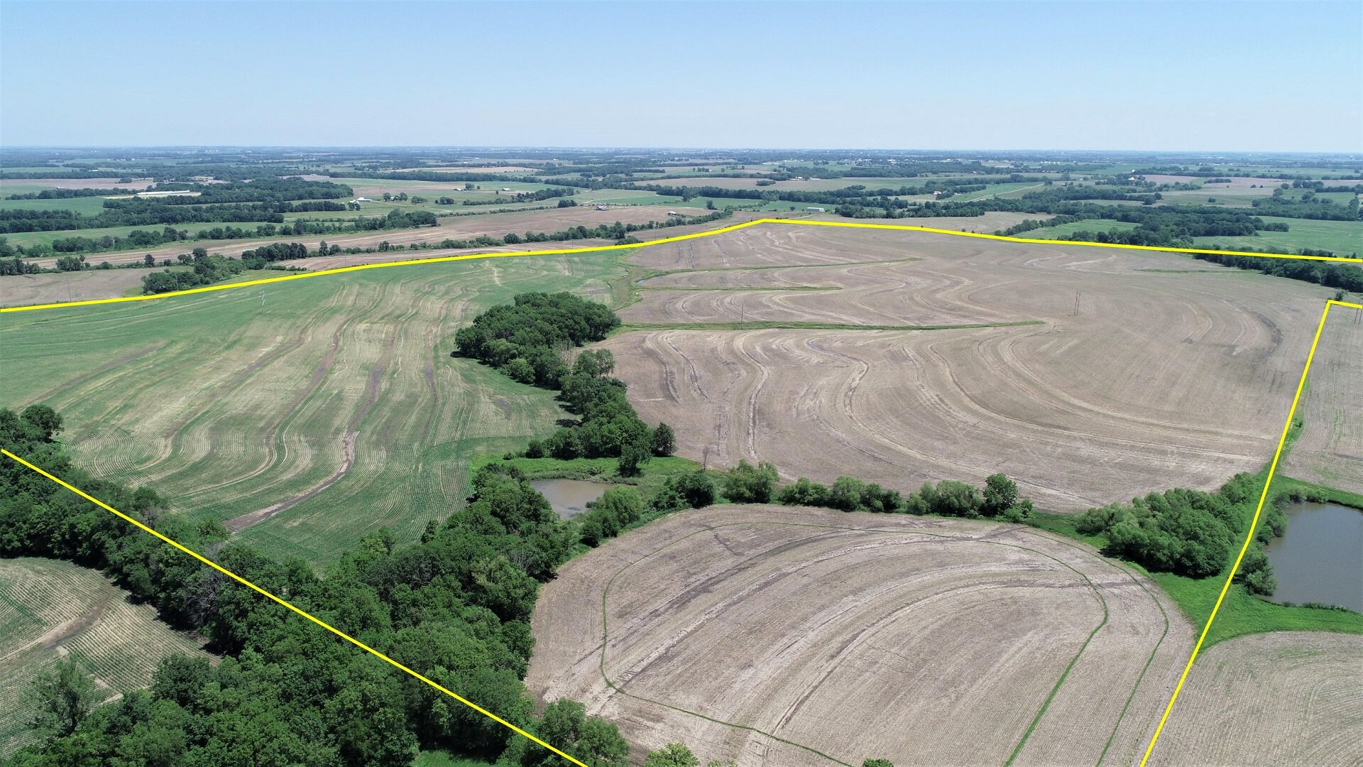 Looking Northeast from Neighboring Farm (June 7, 2020)