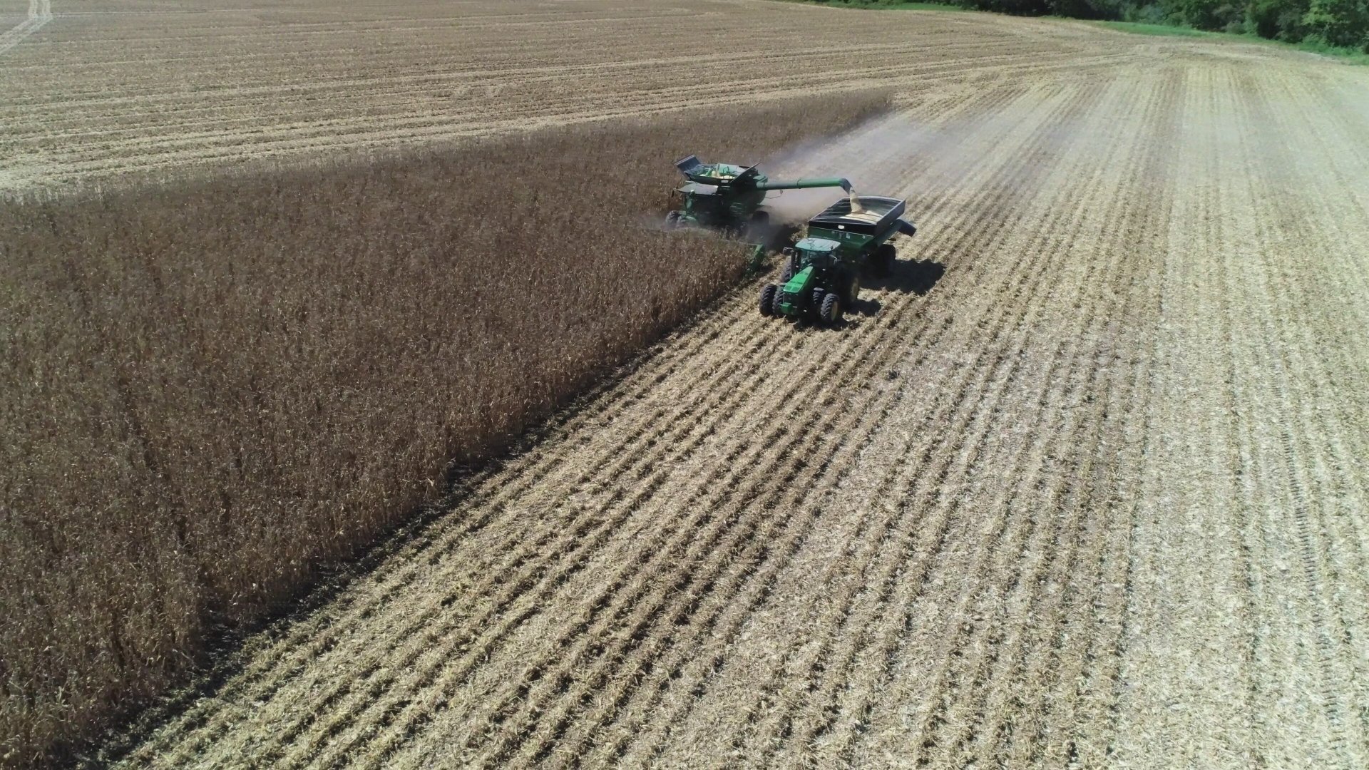 September 2018 - Corn Harvest