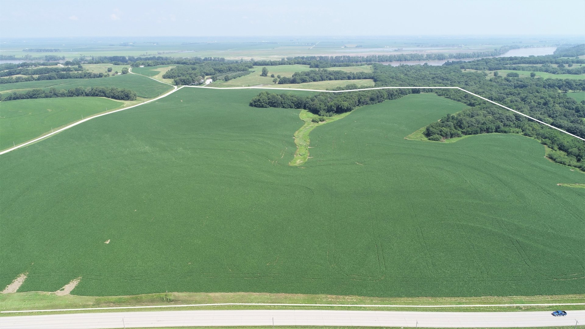 July 2020 - Looking North at North Tract