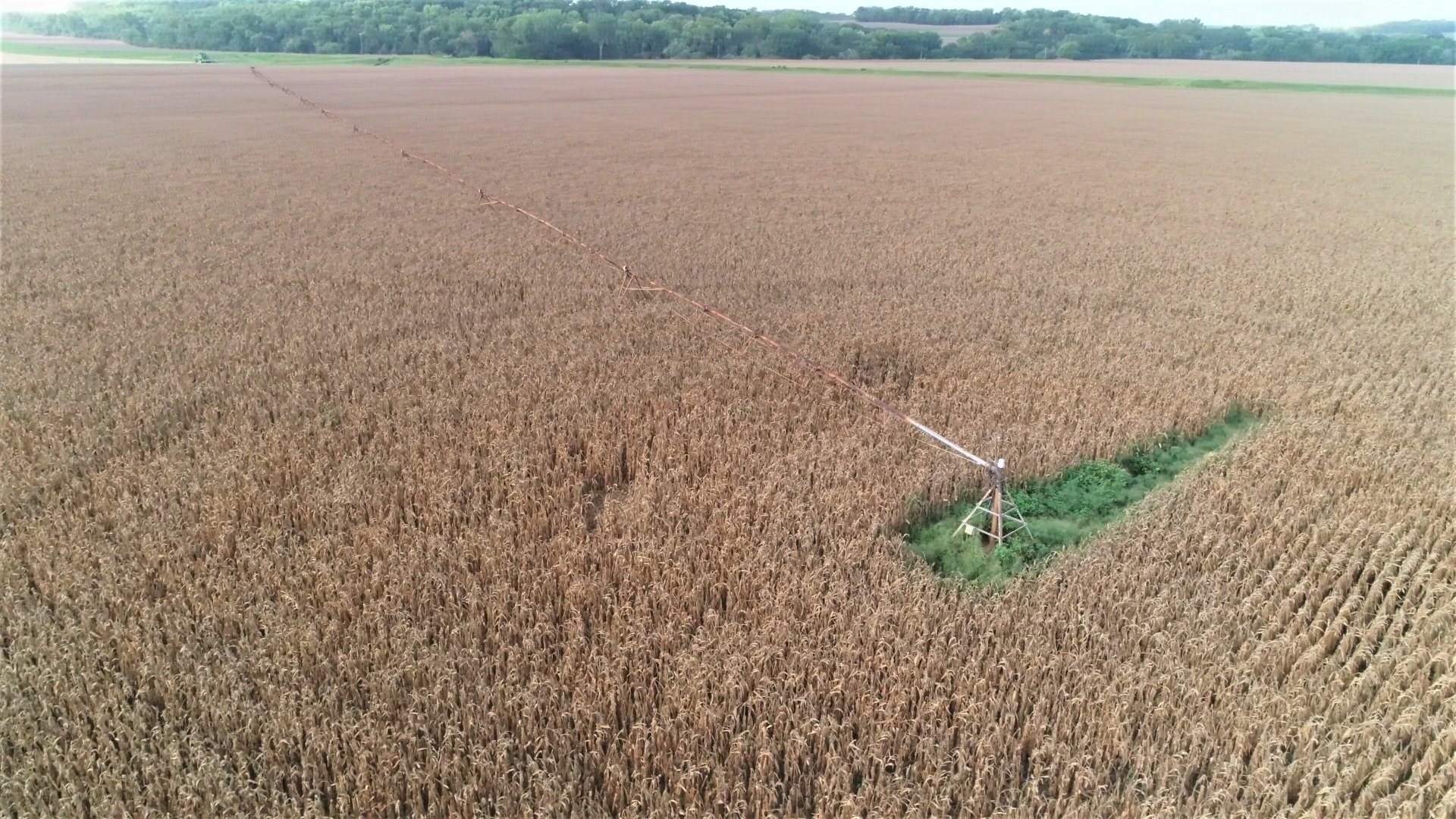 September 2018 - Irrigation Pivot