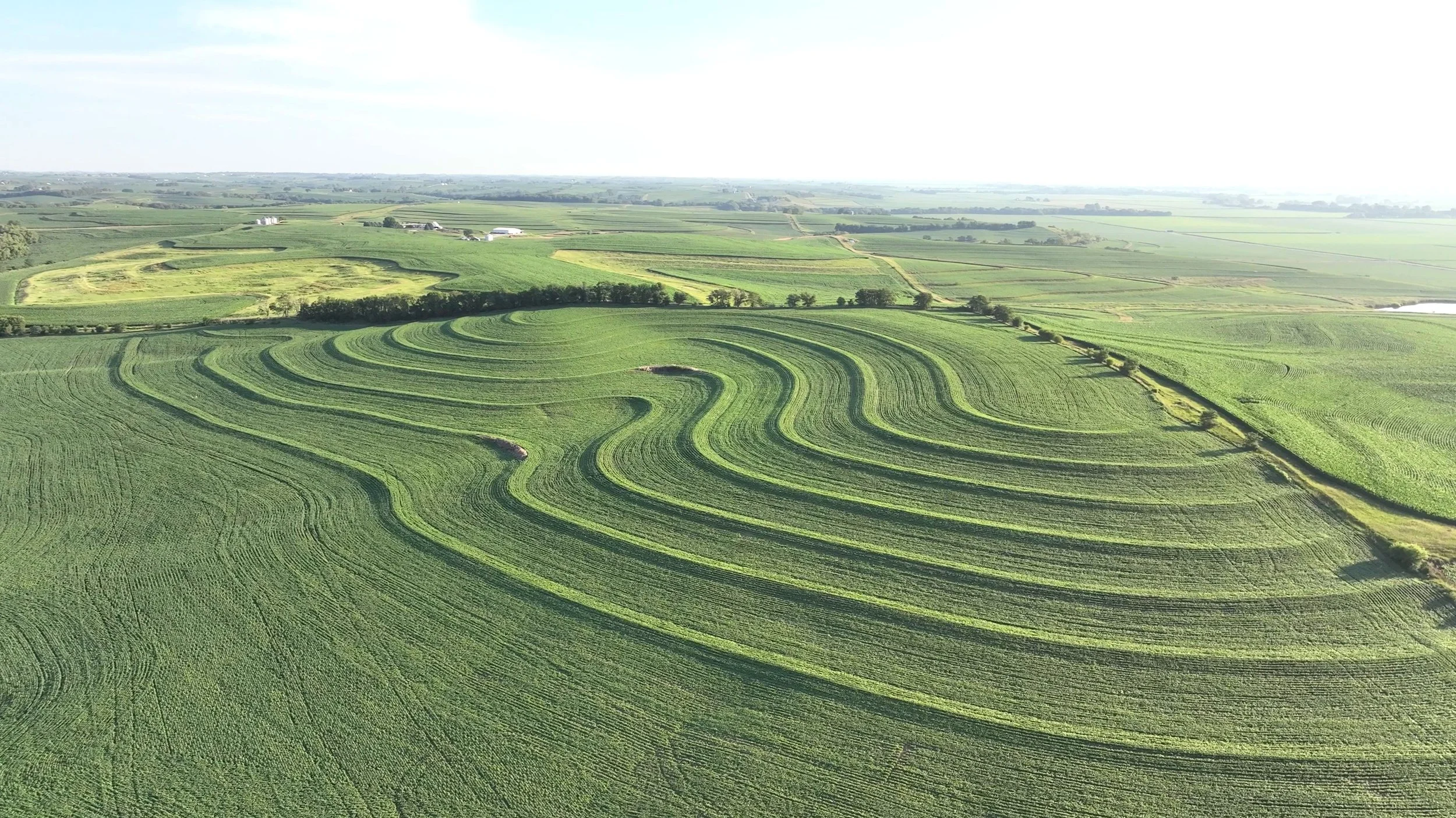 BROAD BASE TERRACES - HOPKINS FARM