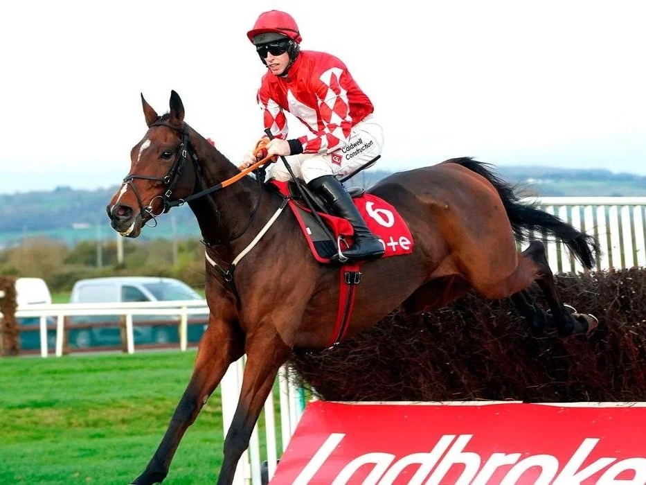 Ladbrokes Christmas Festival