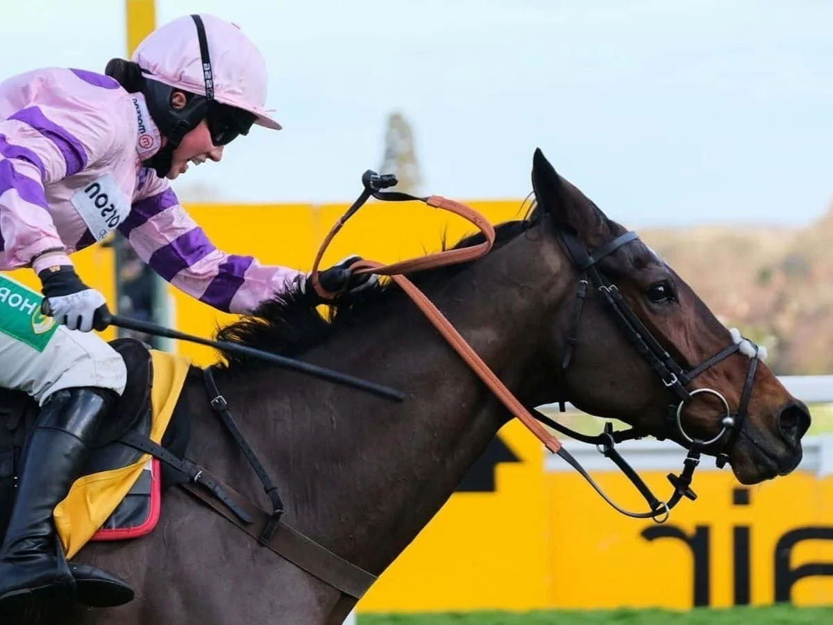 The Betfair Tingle Creek Christmas Festival