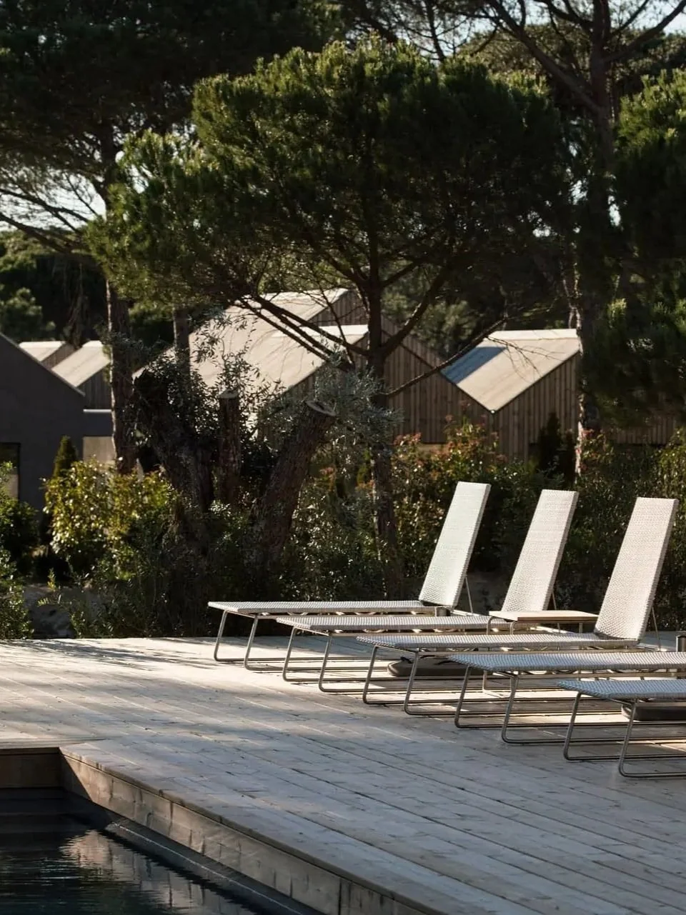 From North to South: Exploring Portugal