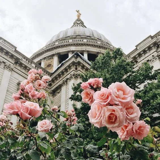 On Learning to Love the Unknown