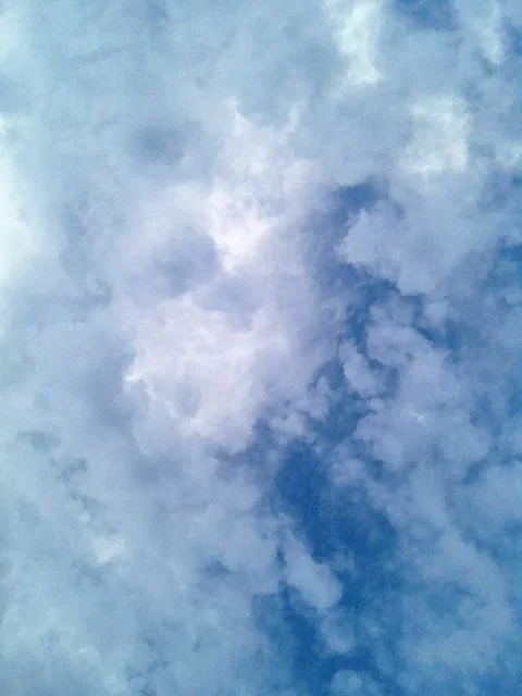 IMG_8452.jpg