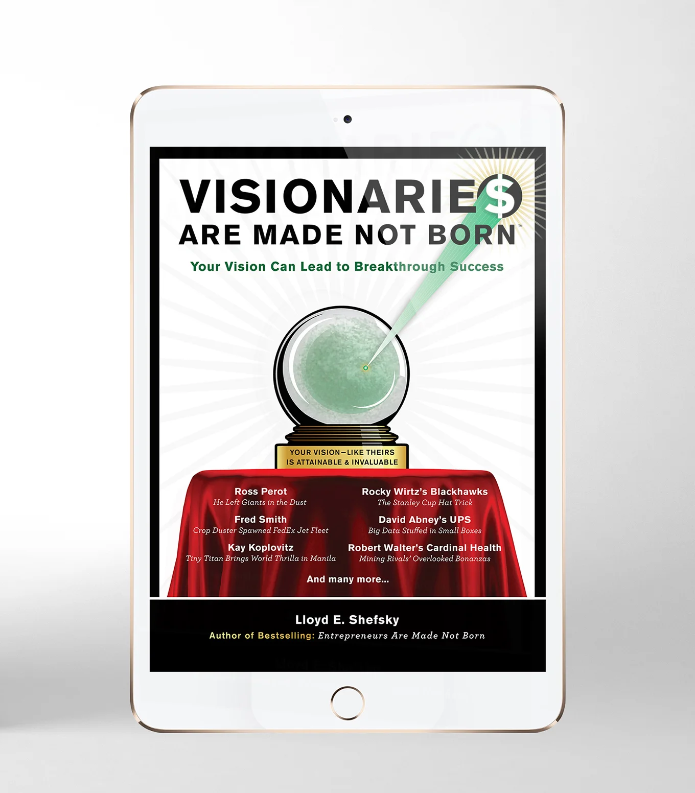 VAMNB_Bookcover_1360PX_02.jpg
