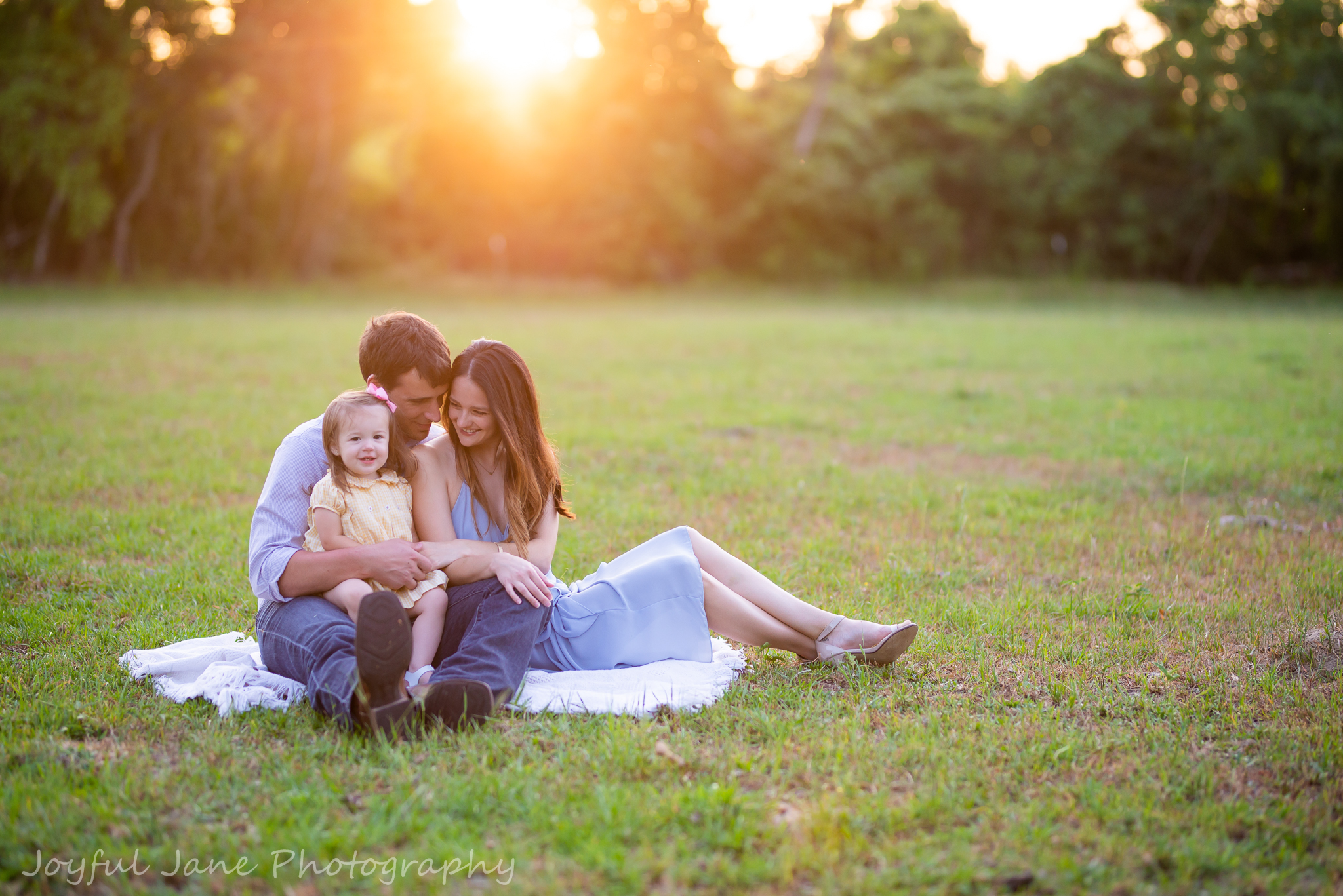 backlight in field