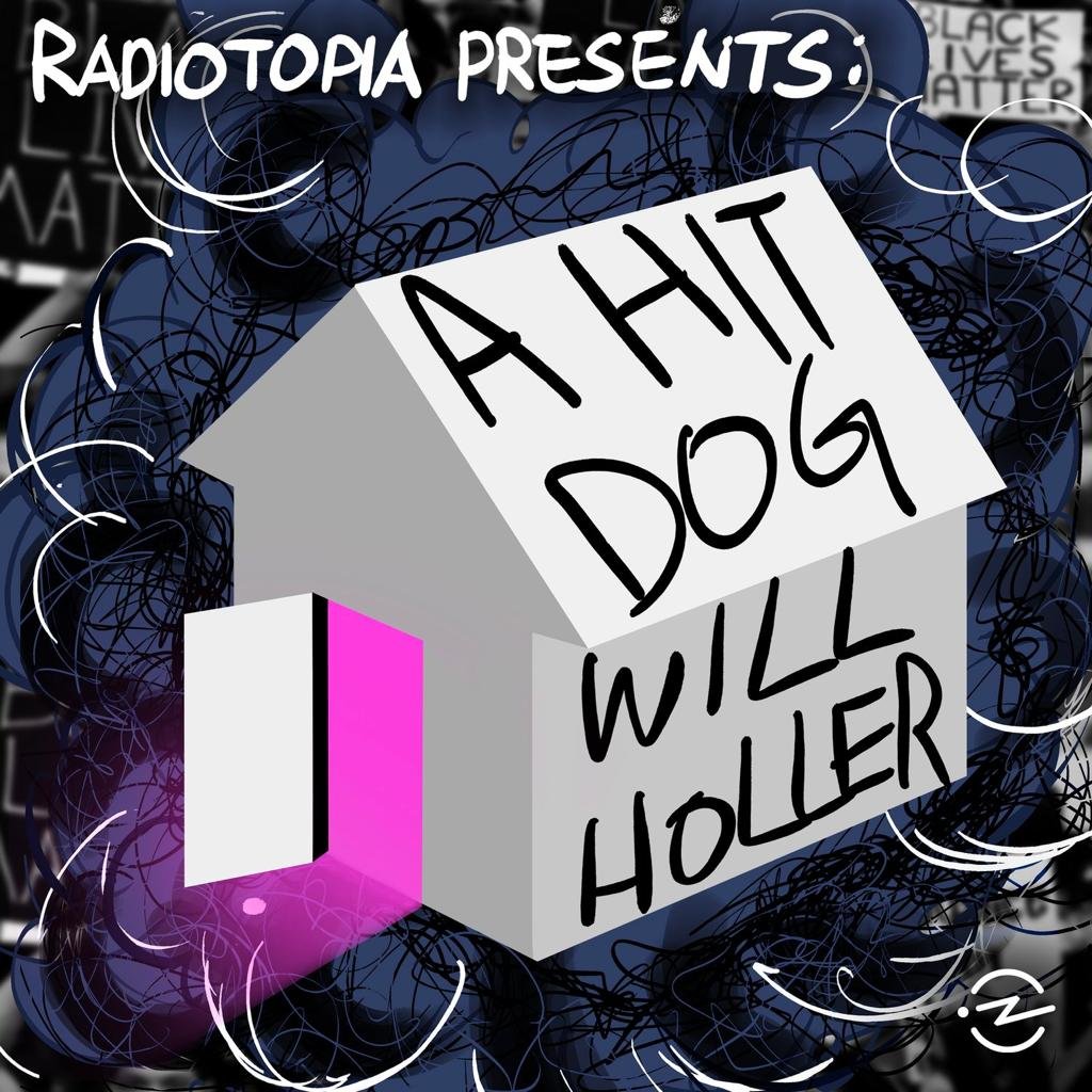 a hit dog will holler - Radiotopia Podcast