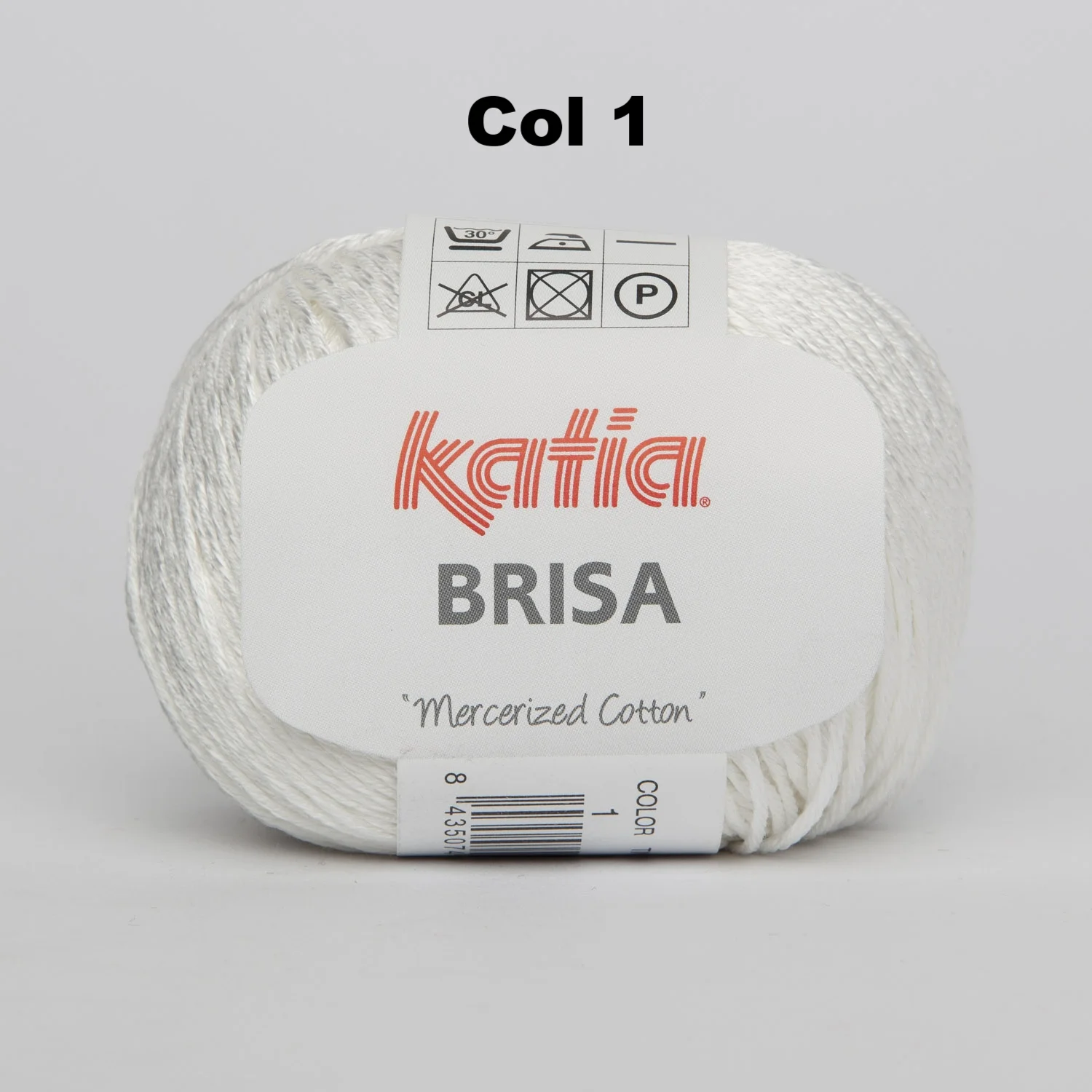BRISA 1.jpg