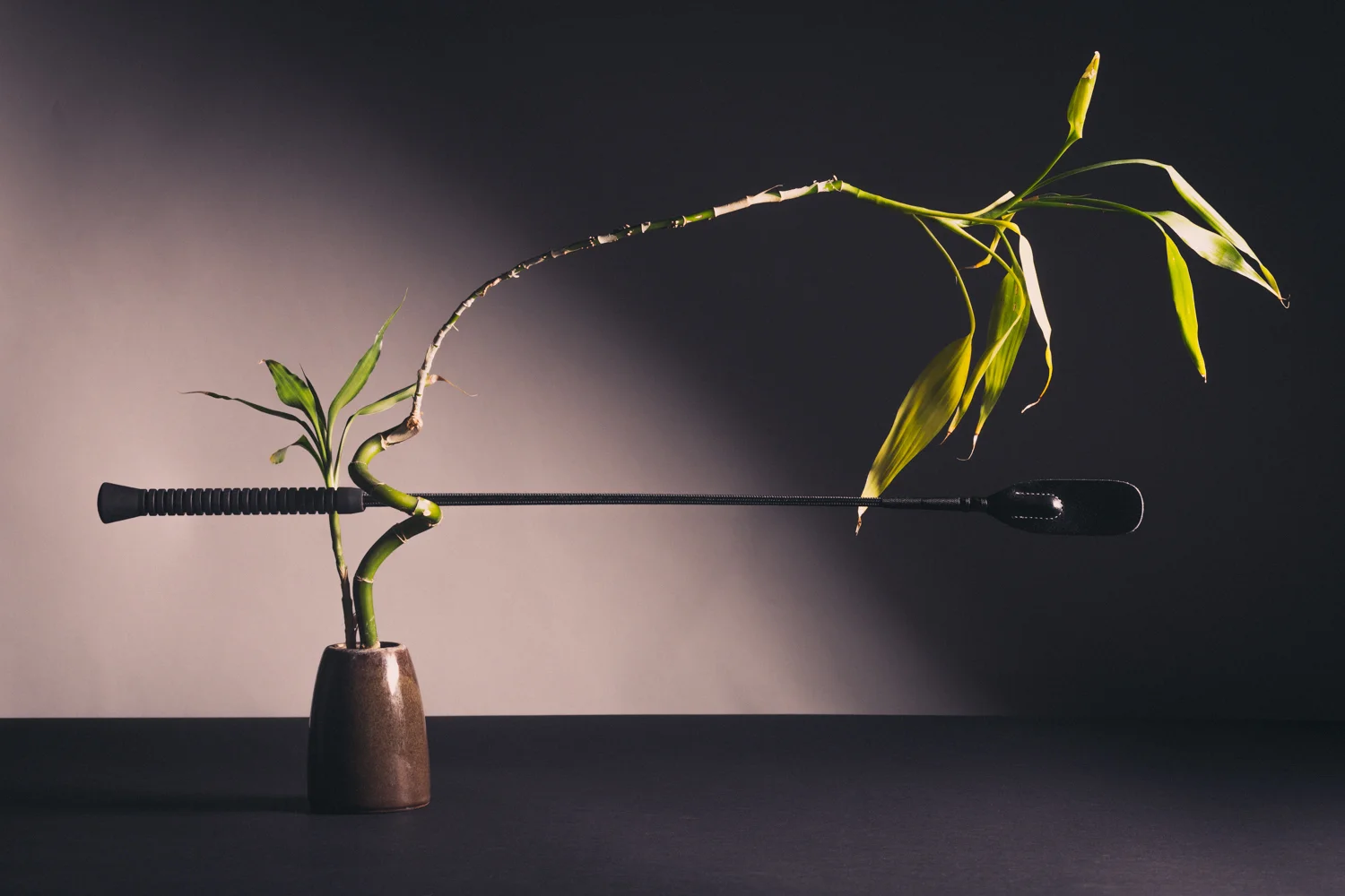 Crop and Bamboo