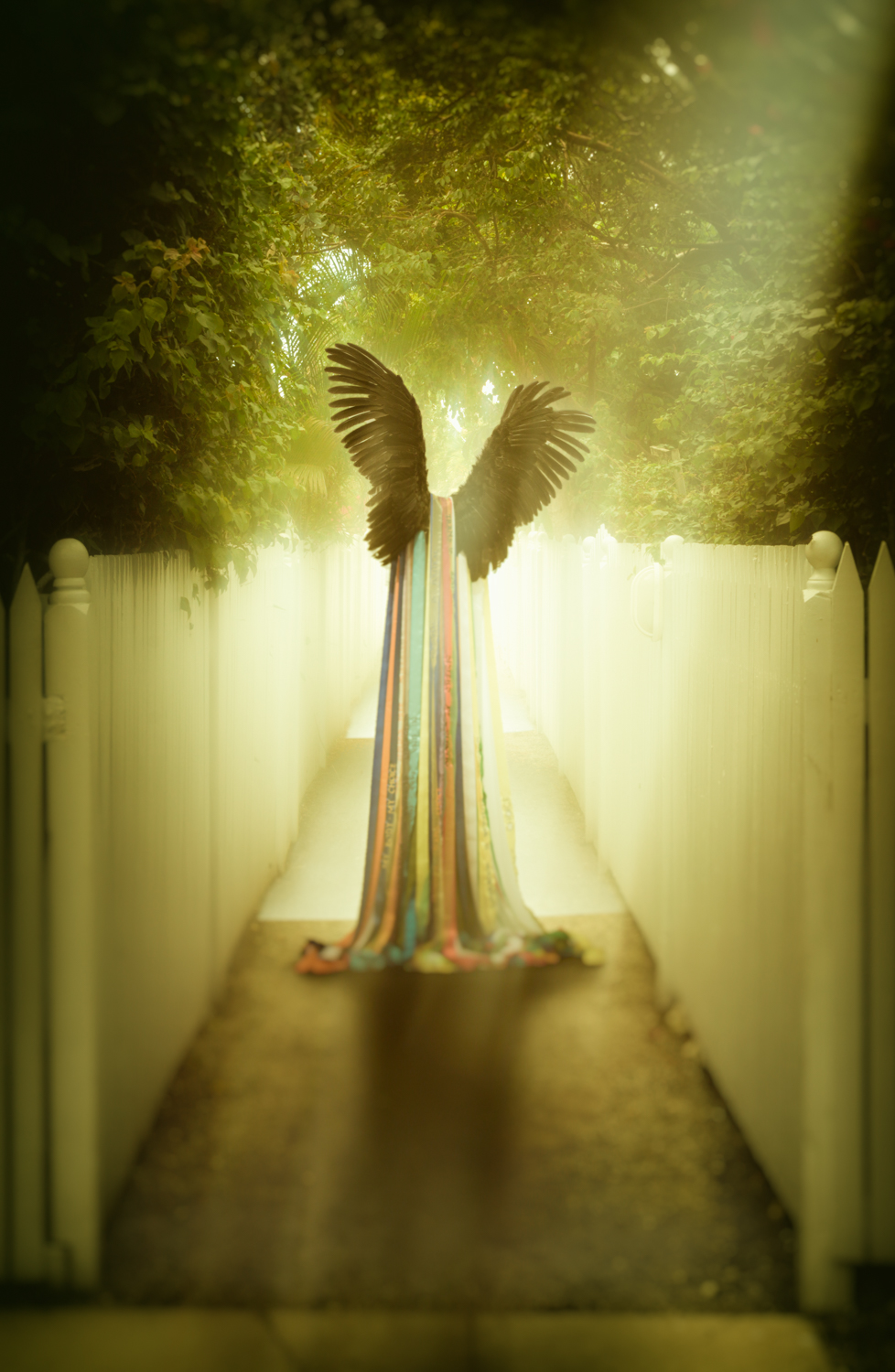 Angels Path_.jpg