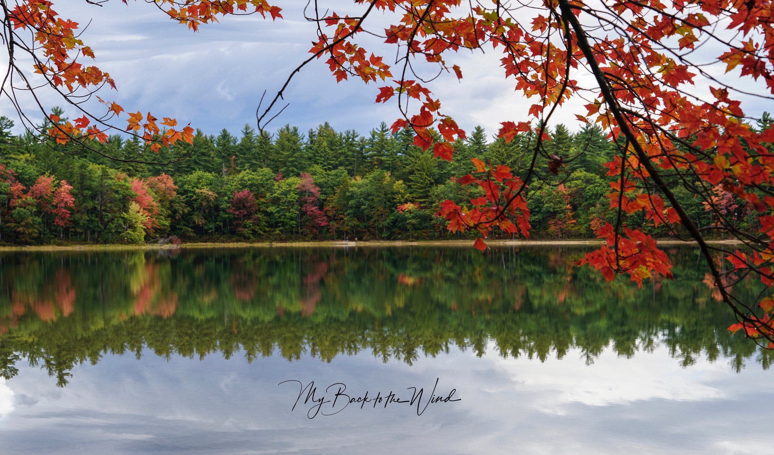 Fall Reflections