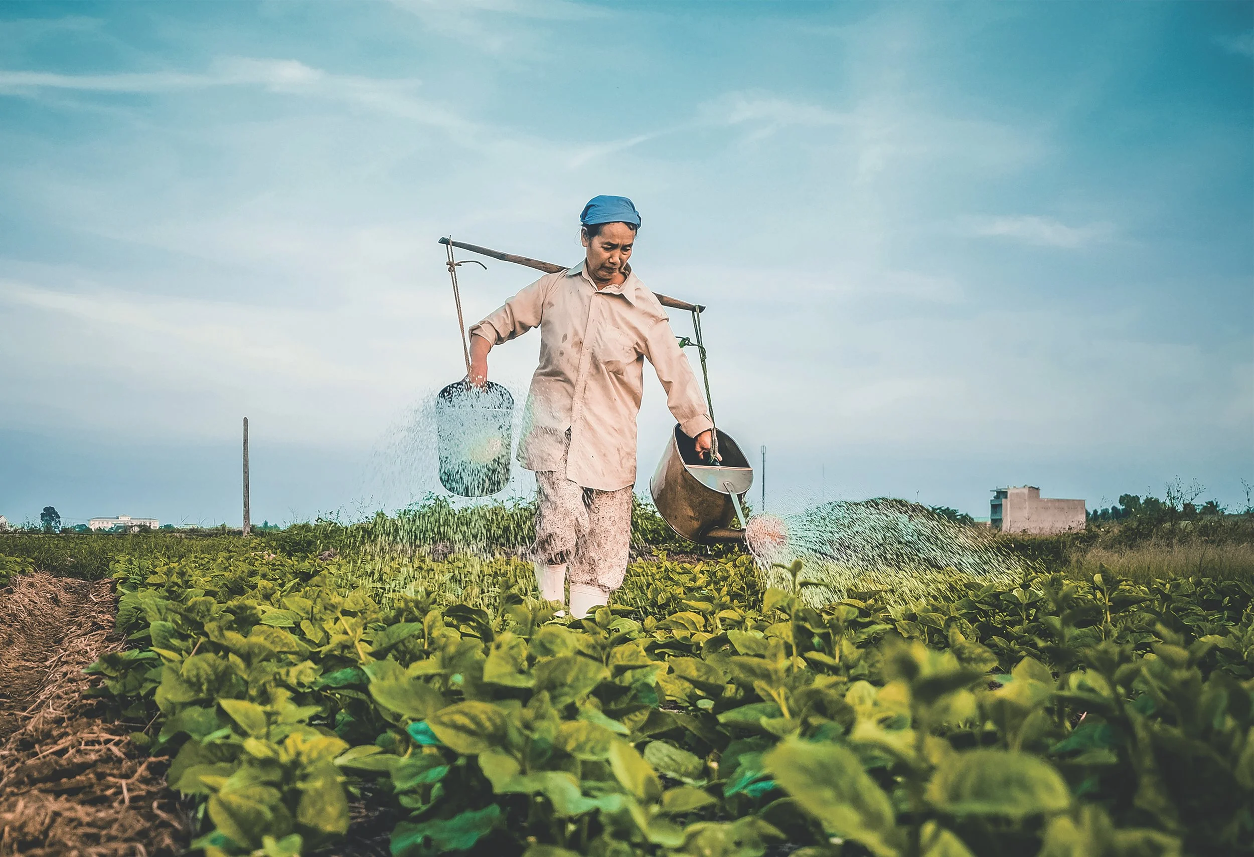 More than 50 million smallholder farmers in Sub-Saharan Africa are locked in annual cycles of hunger because they’re unable to grow enough food to feed their families.