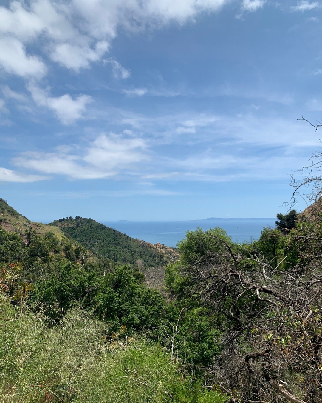 It&rsquo;s that time of year. The trails are green and the views are gorgeous. 

We hope you&rsquo;ll join our Saturday Shred group trail run this weekend! Find the strava link and details in our bio.