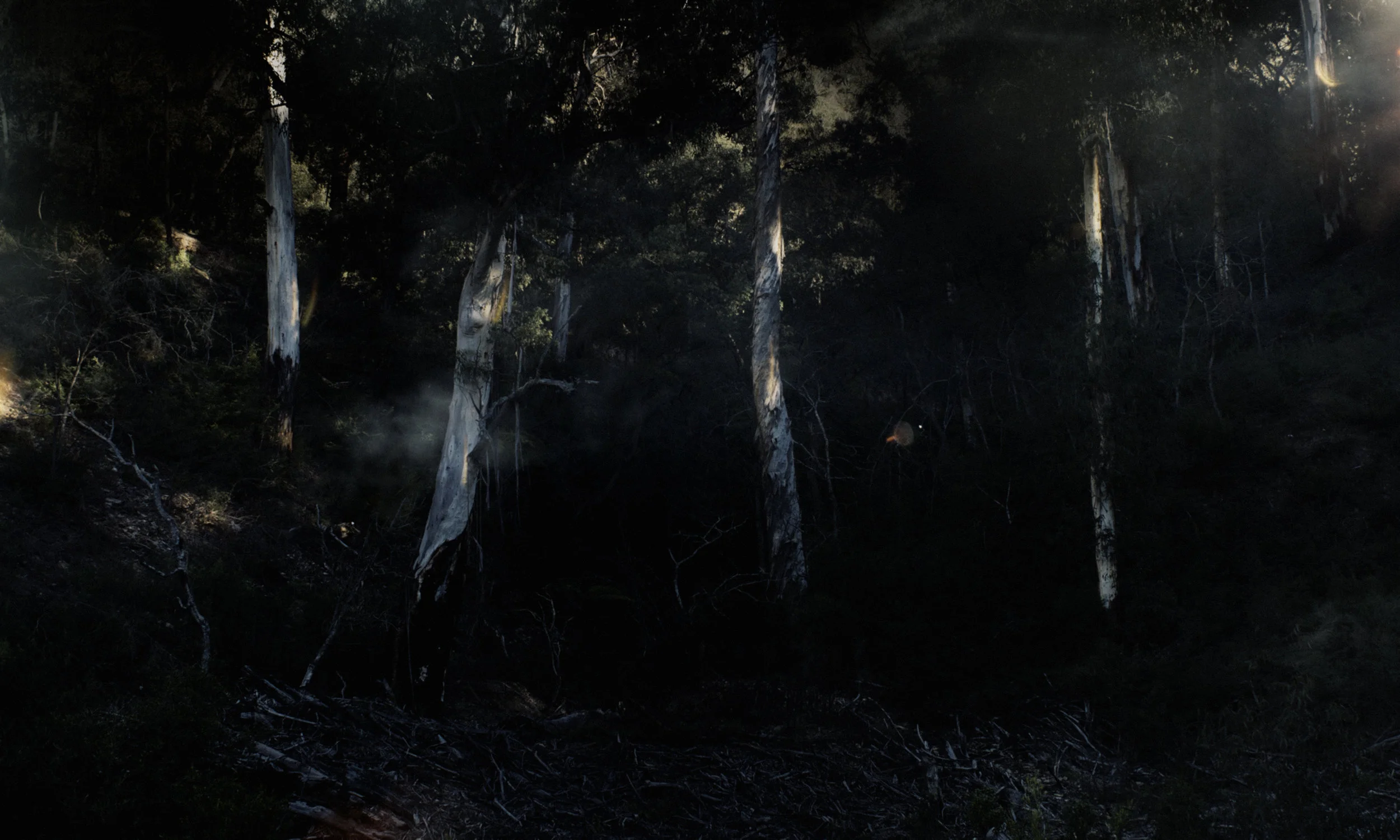 Untitled (In Spates 15)