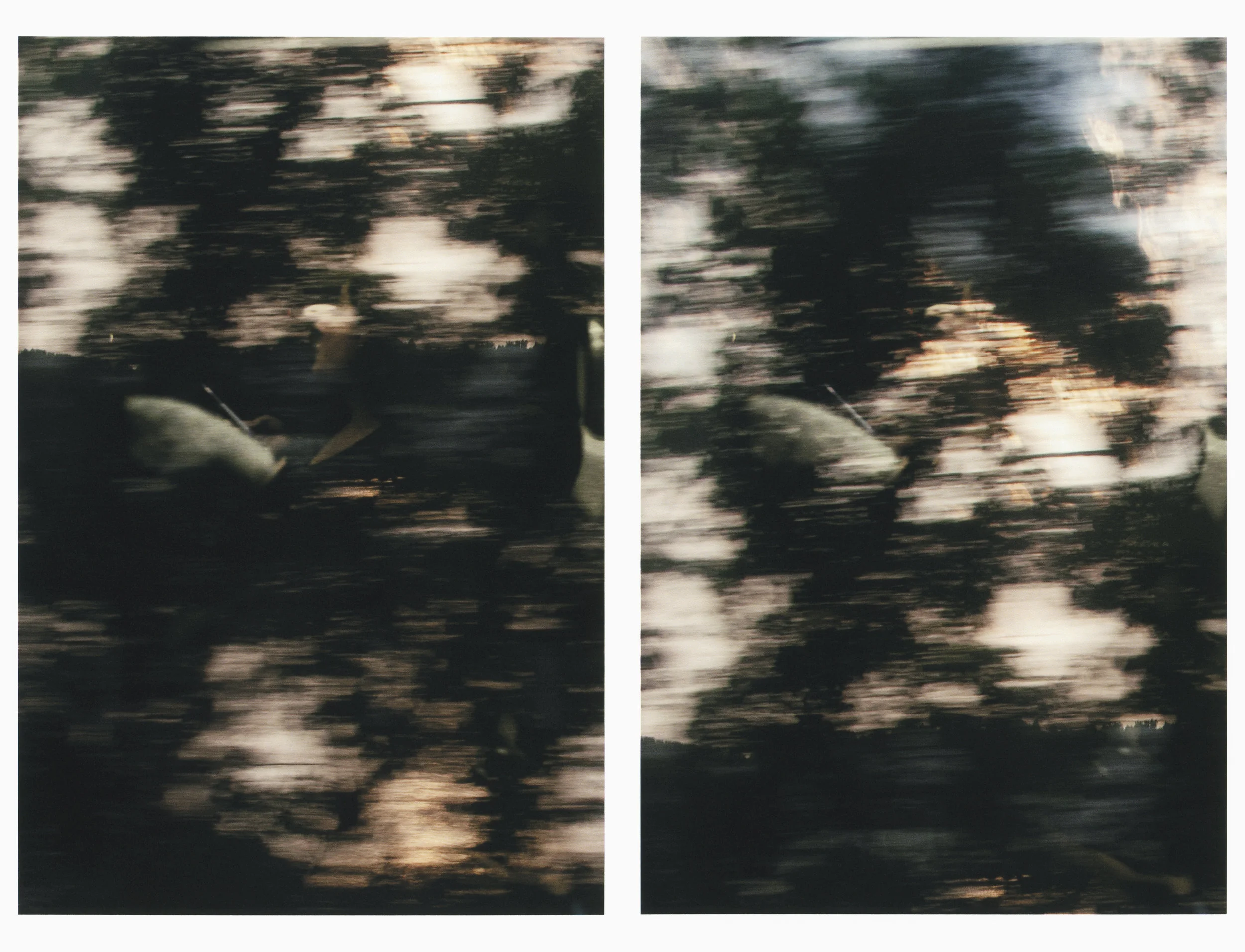 Untitled (figure, glass, landscape / consecutive)