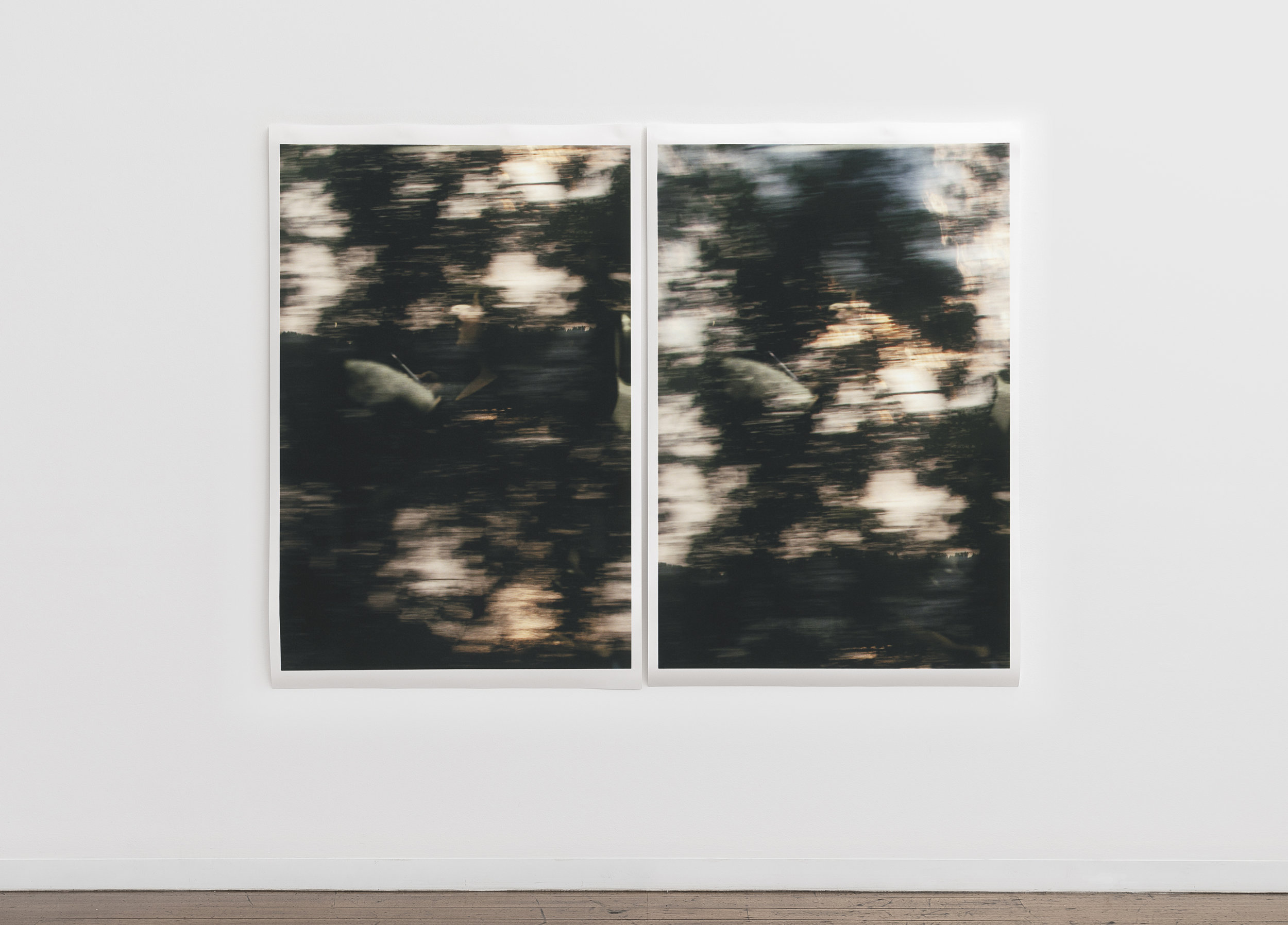   Untitled (figure, glass, landscape / consecutive) , pigment print on paper, diptych, sheet: 168 × 110 cm (66 1/8 × 43 1/4 in), each, framed: 178.9 × 120.2 cm (70 1/2 × 47 3/8 in), each, 178.9 × 240.4 cm (70 1/2 × 94 3/4 in), overall, 2019  Installa