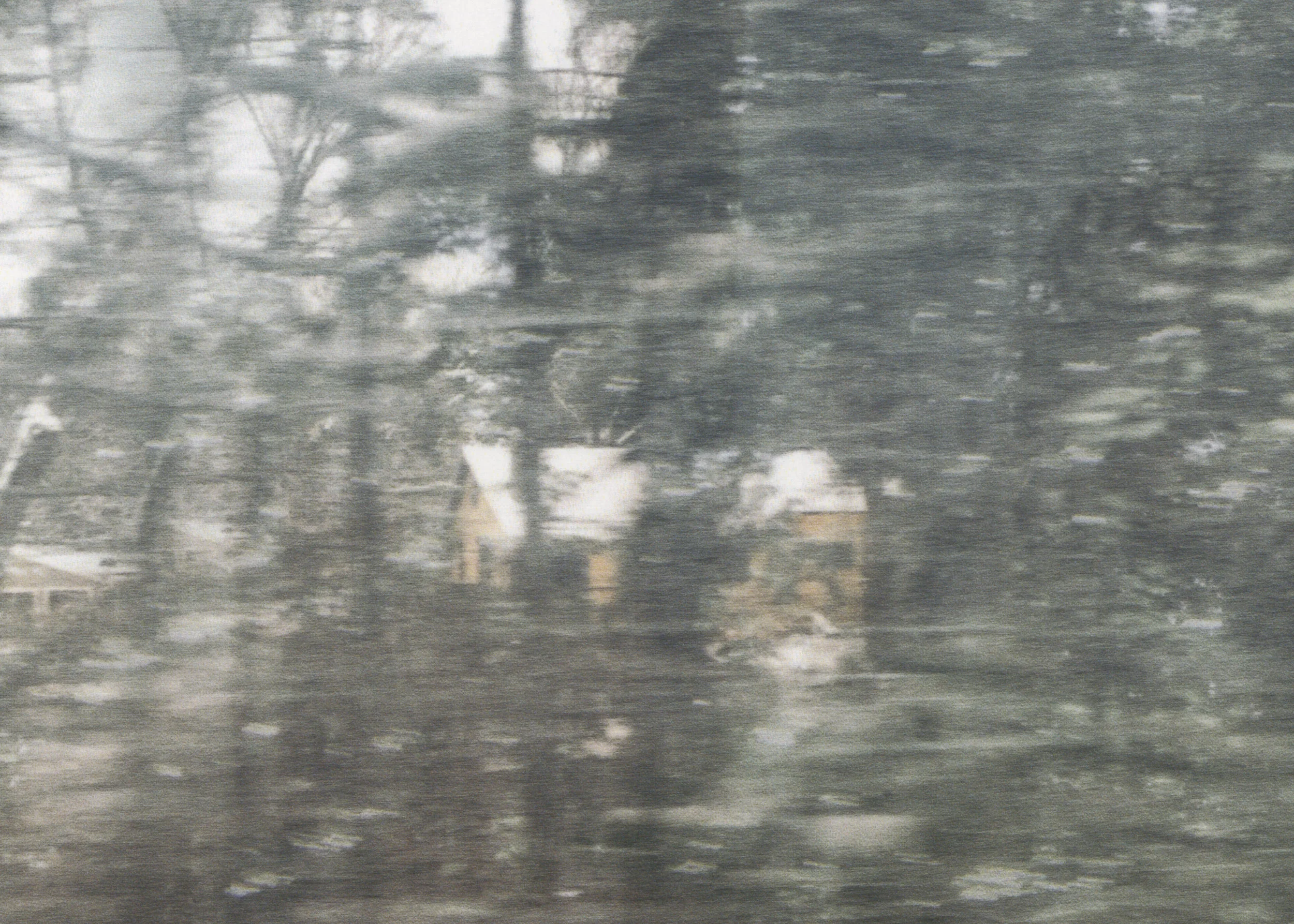Untitled (glass, forest, house) (detail), pigment print on paper, sheet: 98.1 × 72 cm (38 5/8 × 28 3/8 in), framed: 109 × 82.4 cm (42 7/8 × 32 1/2 in), 2019