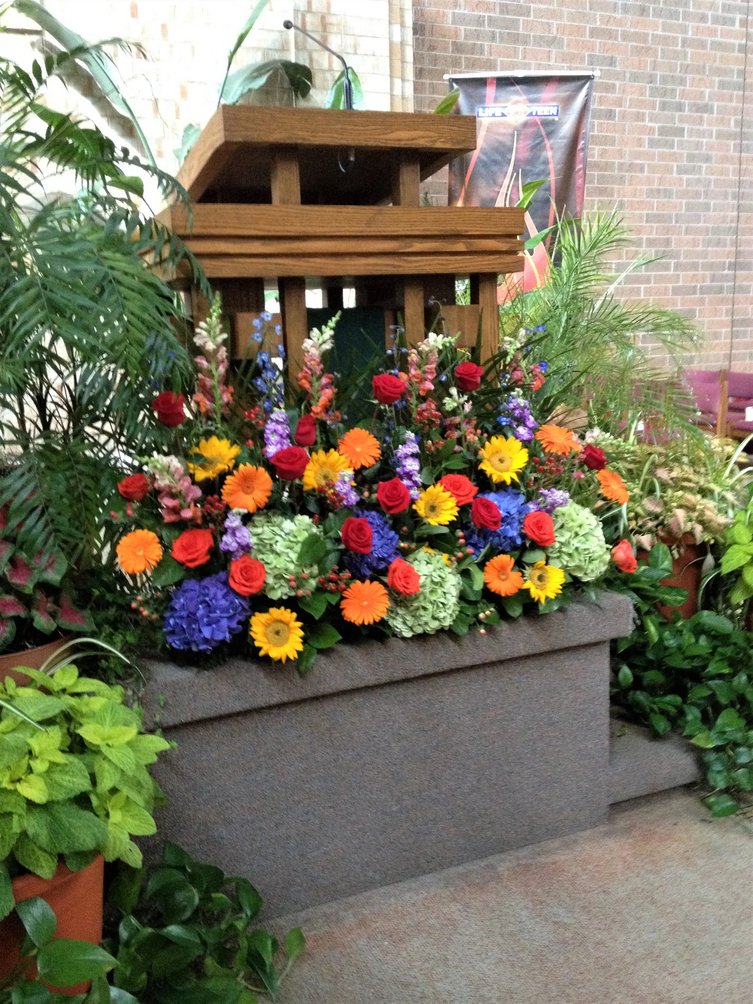 2014-09-05 10.15.53.jpg
